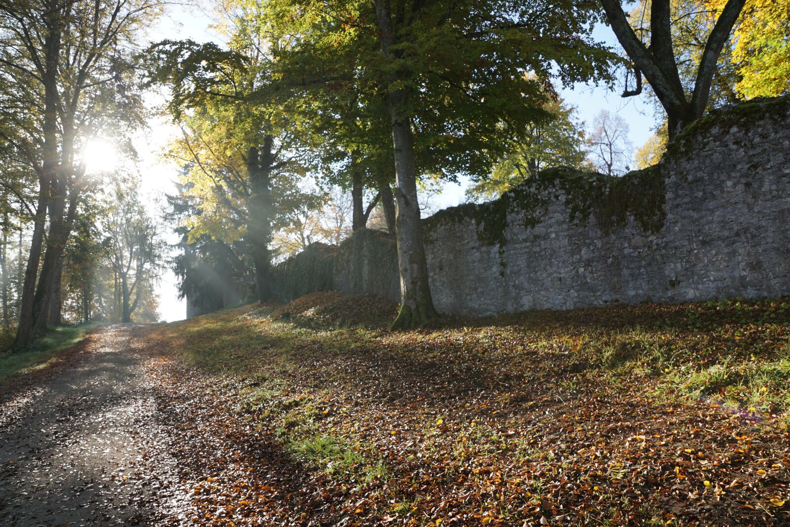 Sony ILCA-77M2 + Sony DT 16-50mm F2.8 SSM sample photo. Autumn, hike, tuttlingen photography