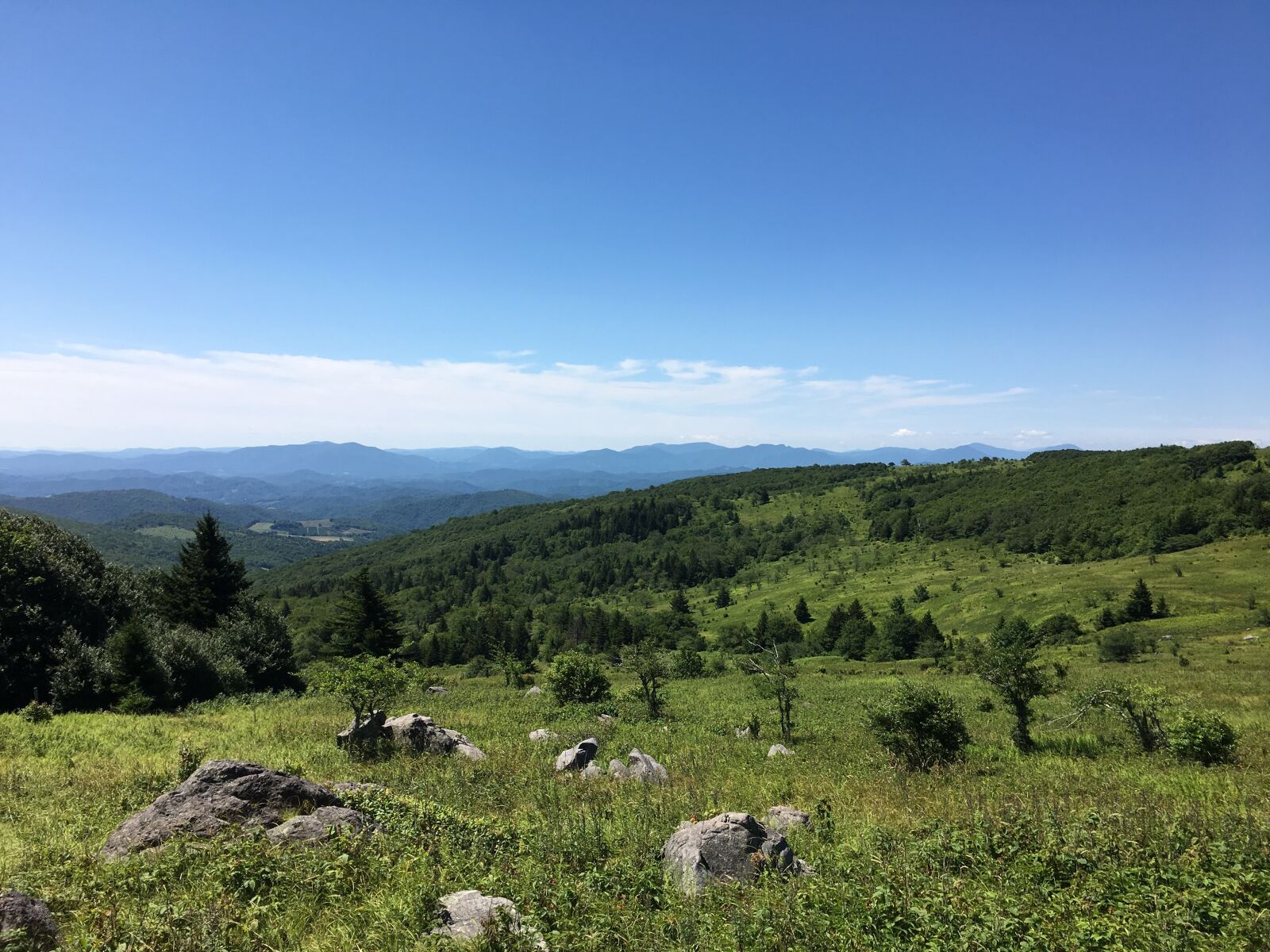 Apple iPhone 6s sample photo. Grayson highlands, virginia, meadow photography