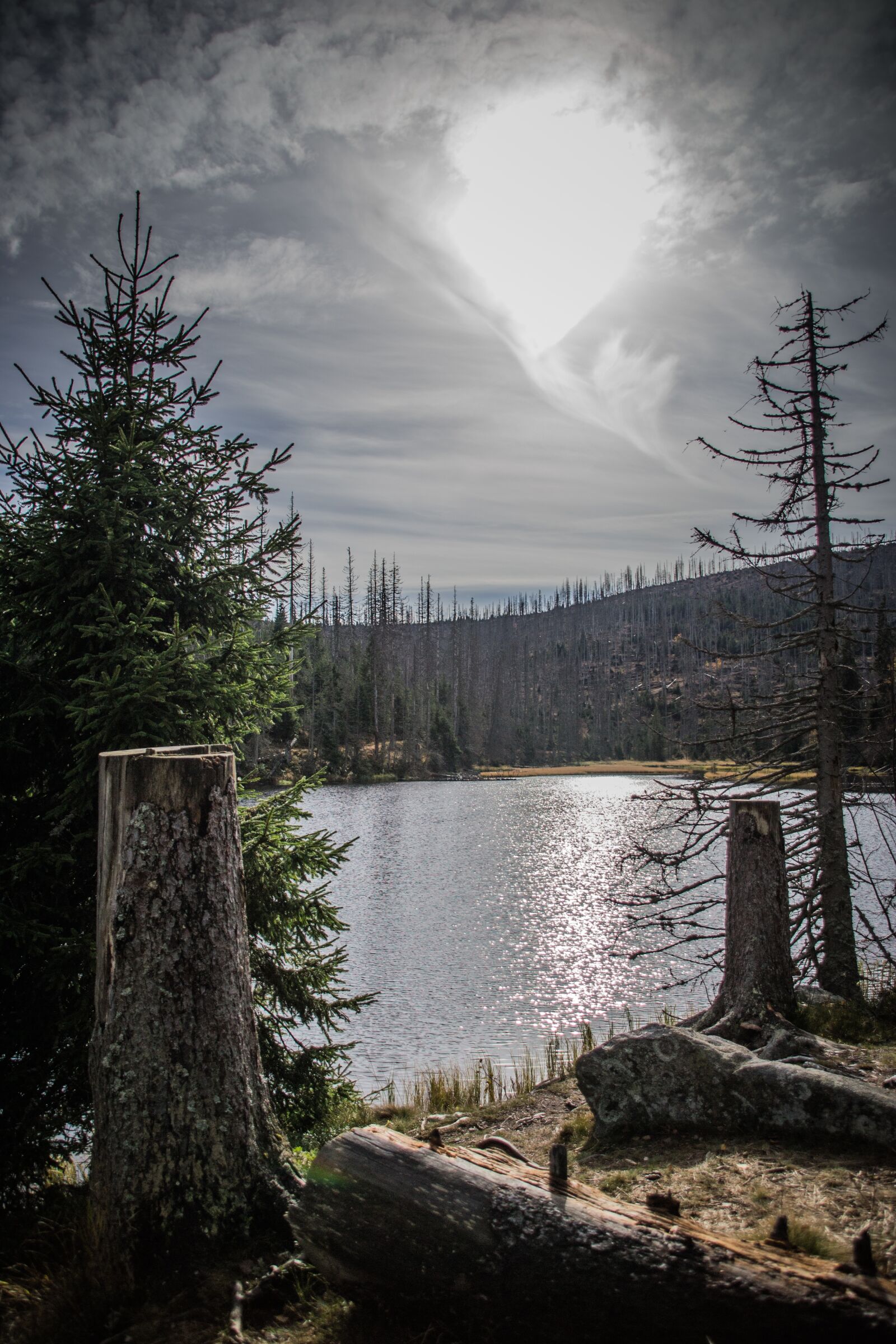 Nikon D3100 sample photo. Lake, šumava, laka photography
