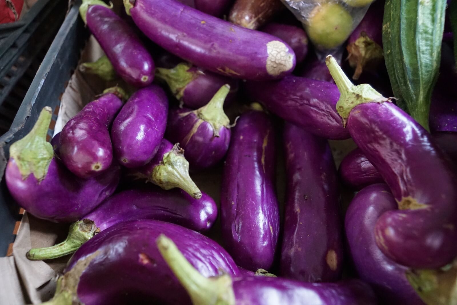 Sony ILCA-77M2 + Sony DT 16-50mm F2.8 SSM sample photo. Blue, vegetables, eggplant photography
