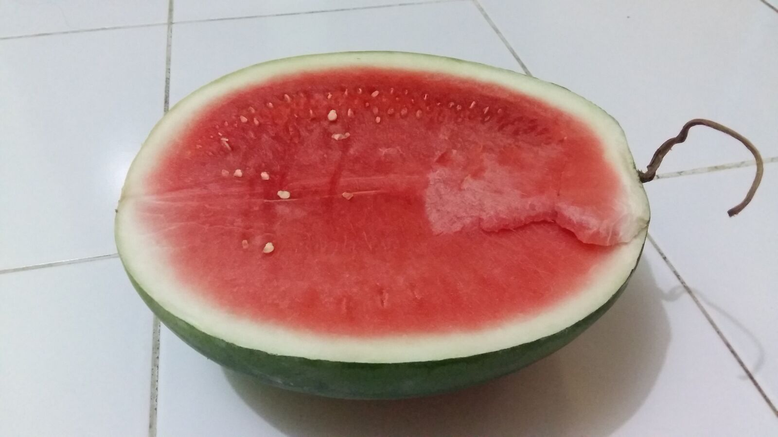 Samsung Galaxy A5 sample photo. Watermelon, fruit, nutrition photography