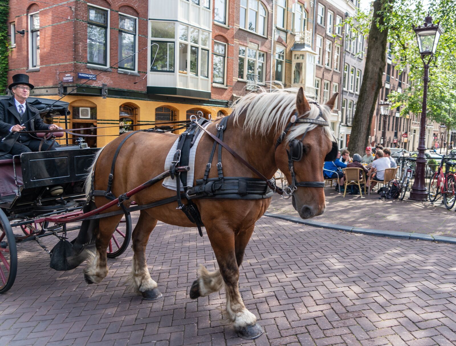 Sony a7R II sample photo. Amsterdam, horse, ride photography