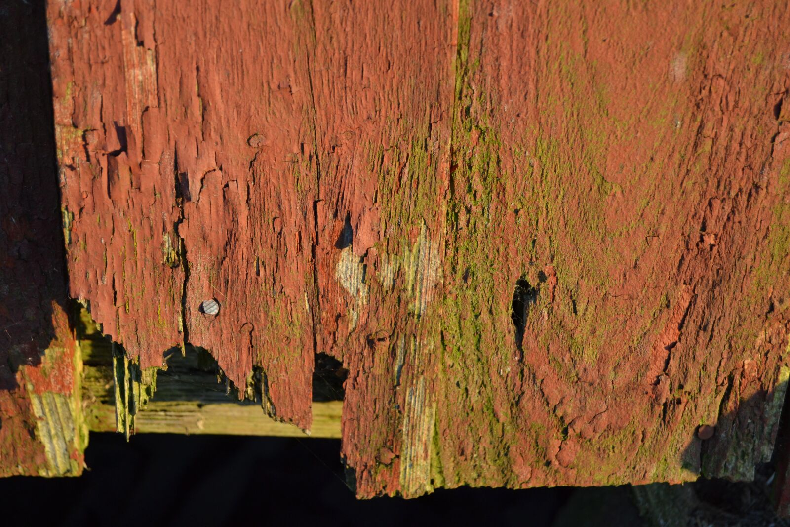 Nikon D3100 sample photo. Old farm, brick, wall photography