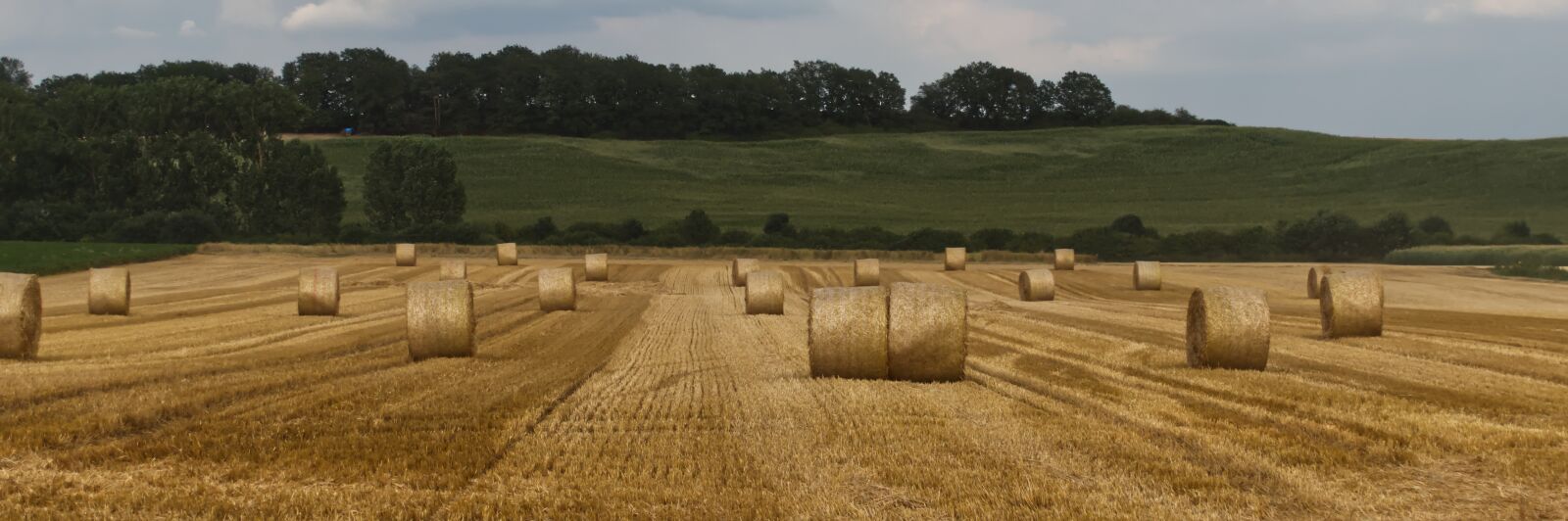 Nikon D5500 sample photo. Straw, straw bales, round photography
