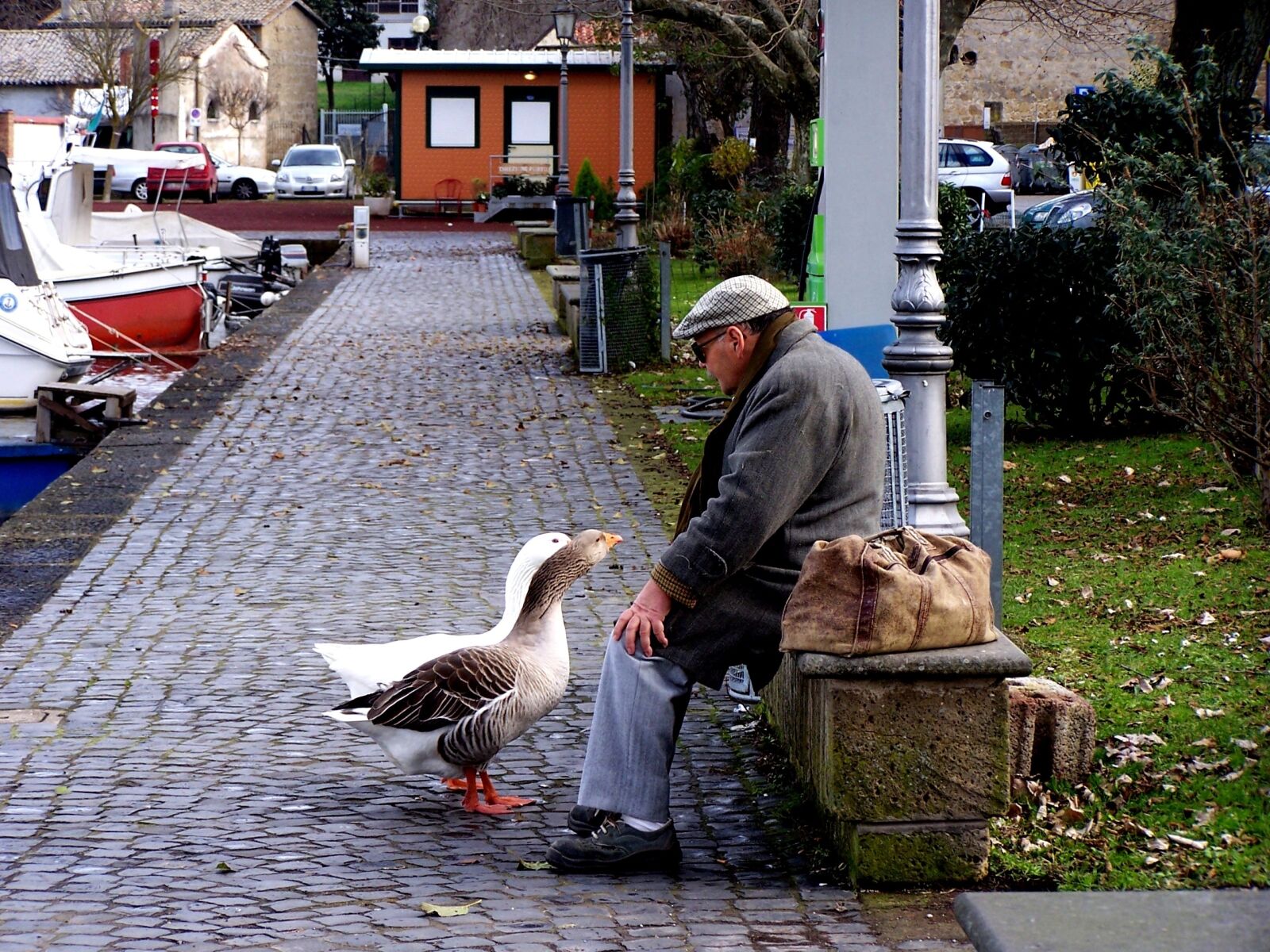 Kodak Z740 ZOOM DIGITAL CAMERA sample photo. Geese, dialogue, couples photography