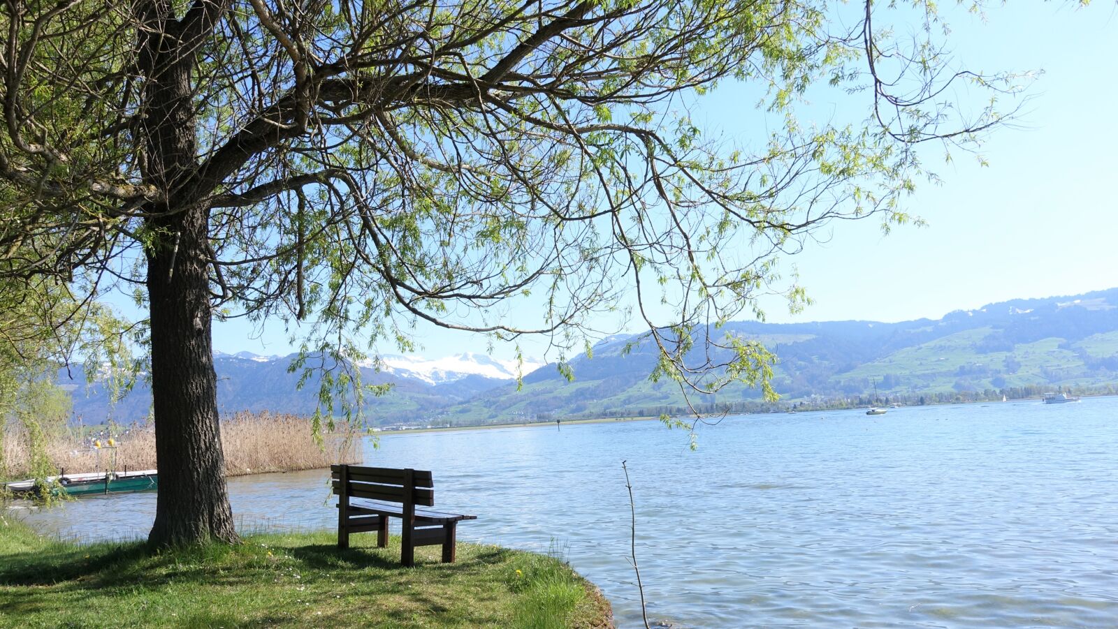 Sony Cyber-shot DSC-RX100 IV sample photo. Lake, rest, silent photography