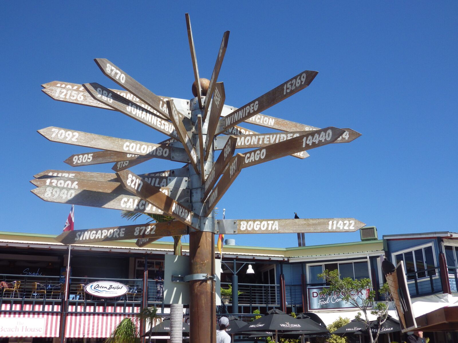 Pentax X-5 sample photo. South africa, knysna, travel photography