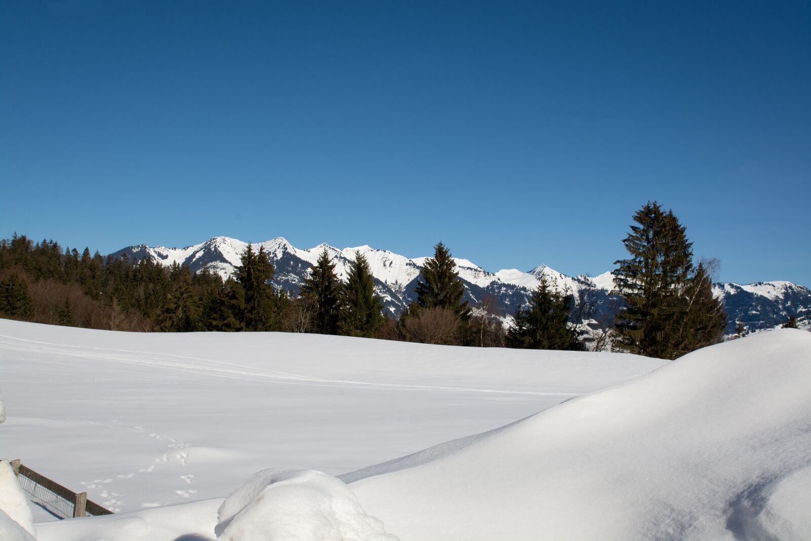 Nikon D7100 sample photo. Landscape, winter, snow photography