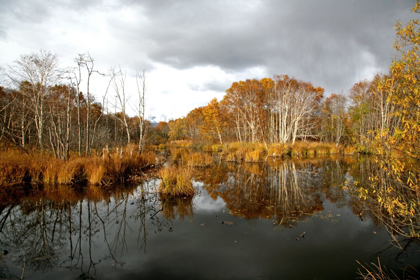 Canon EOS 5D sample photo. Forest, small river, body photography