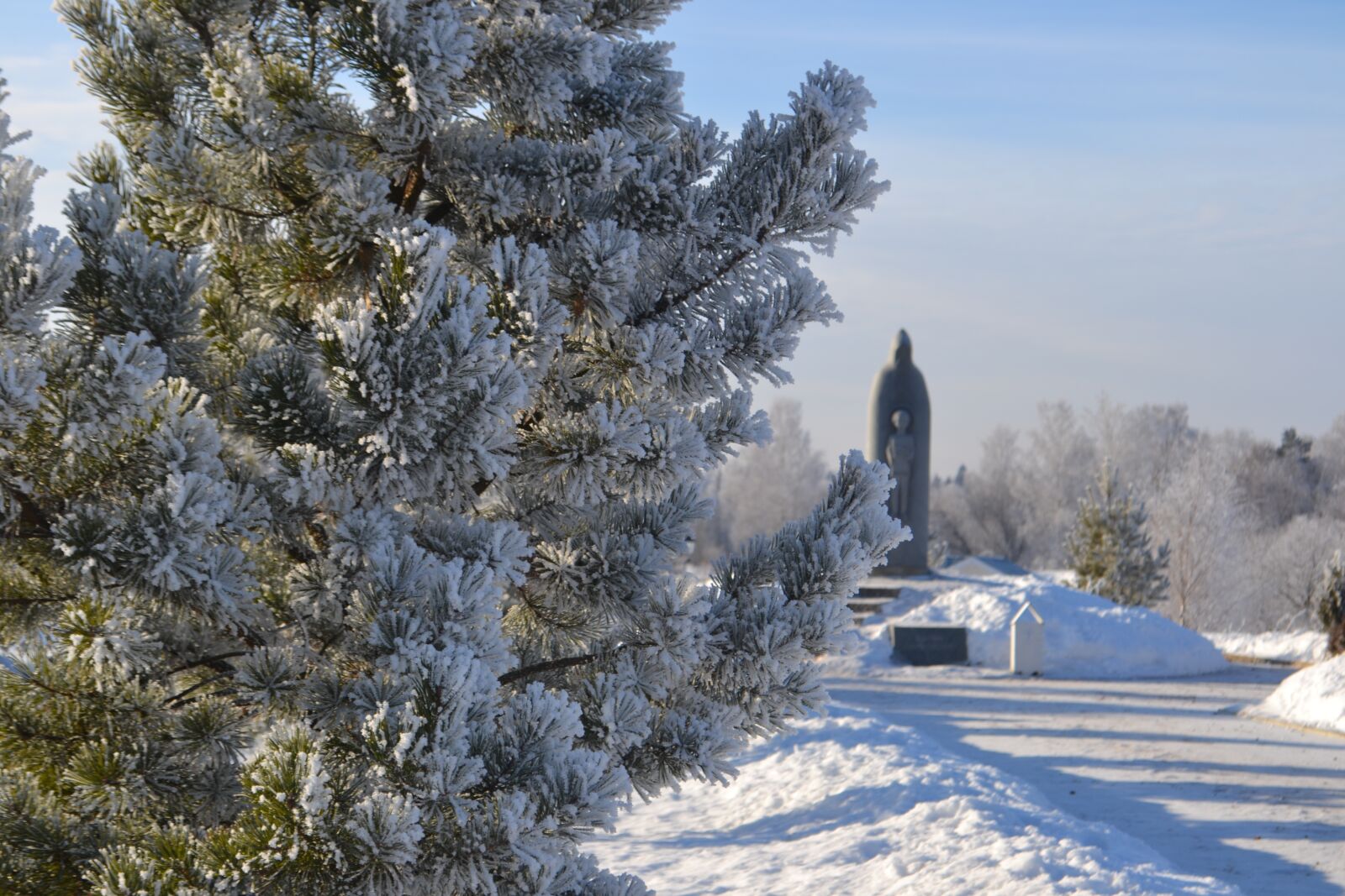 Nikon D3100 sample photo. Russia, nature, road photography