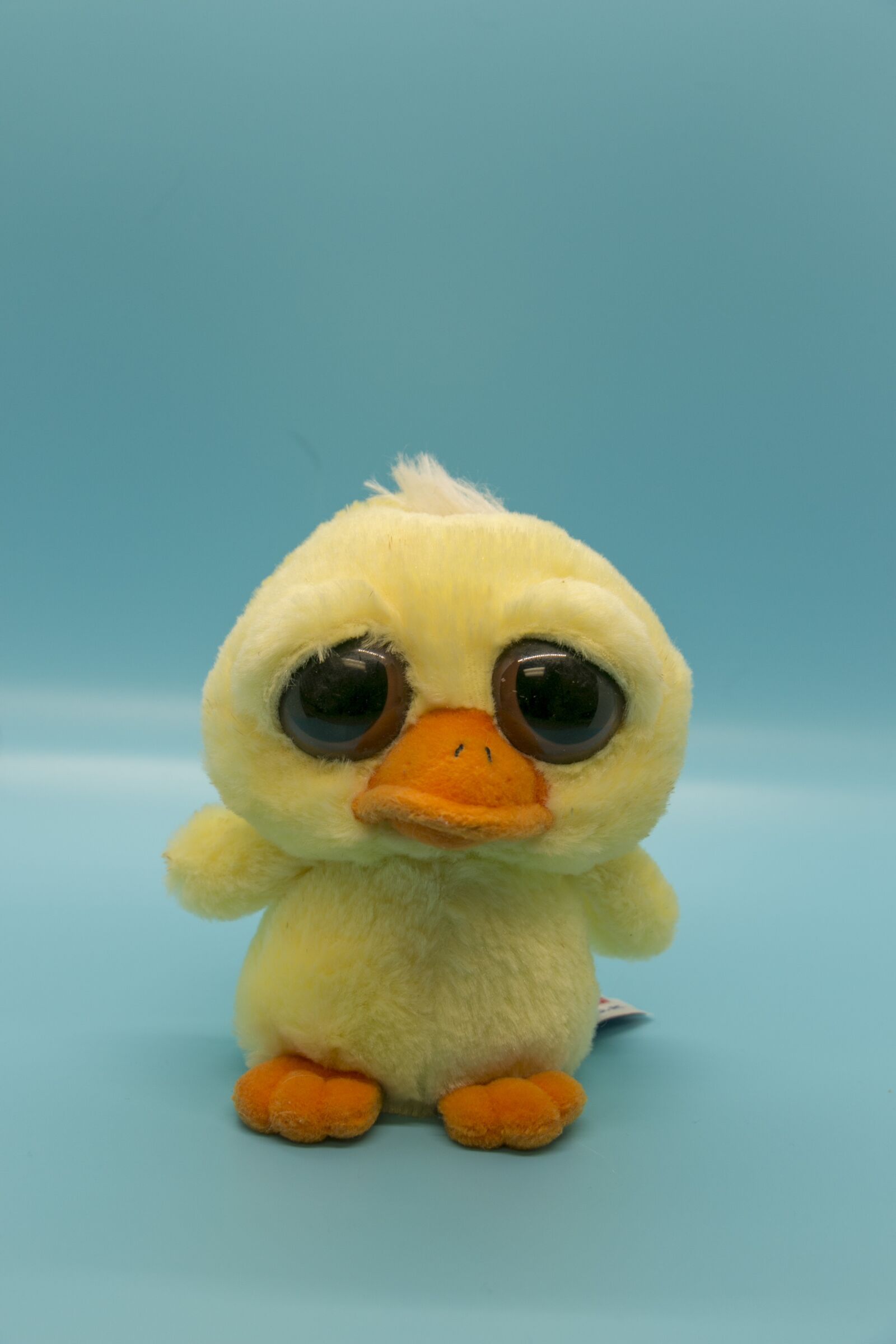 Canon EOS 70D sample photo. Sad eyes, stuffed animal photography