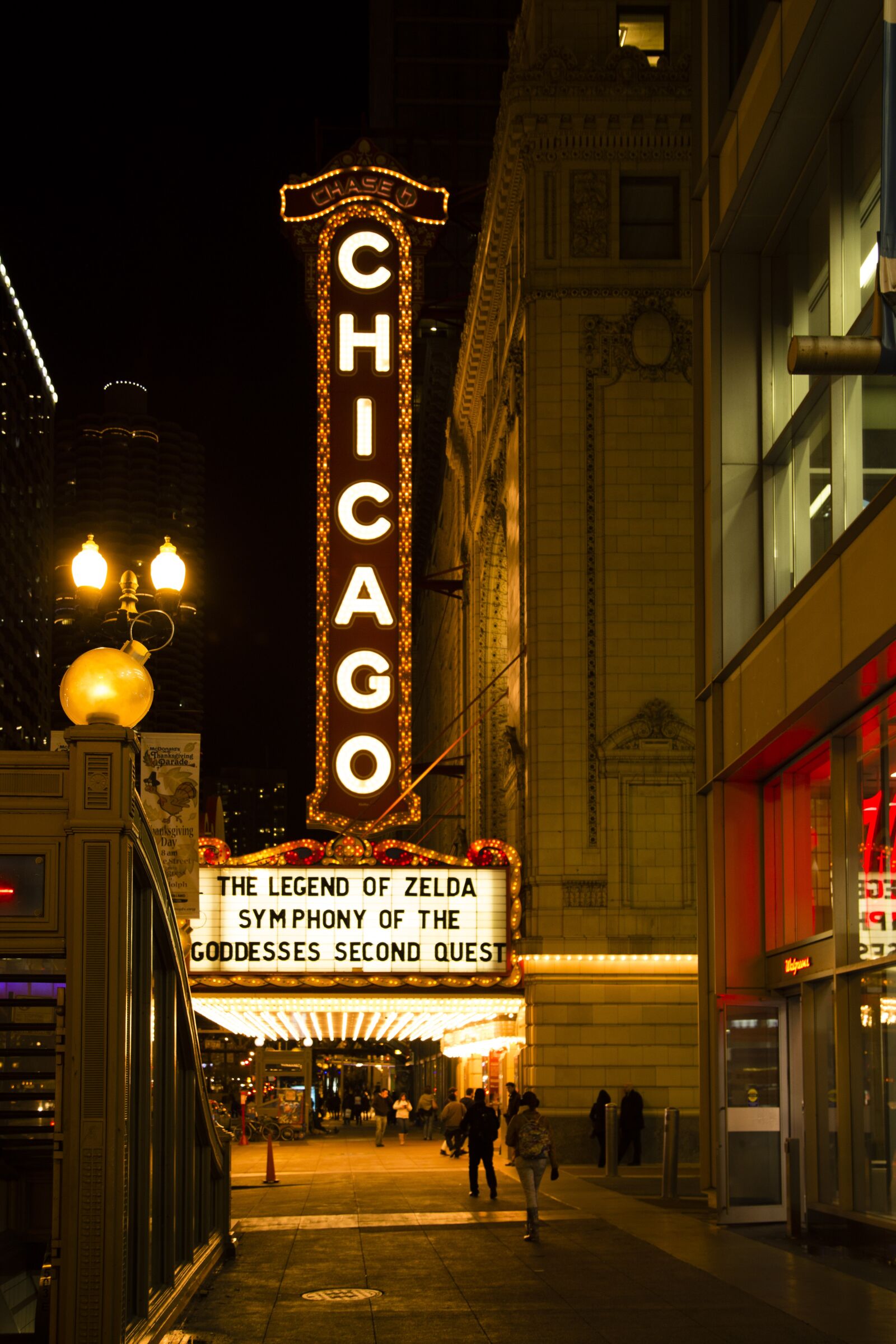 Canon EOS 6D + Canon EF 24-105mm F4L IS USM sample photo. Chicago theater, downtown, night photography
