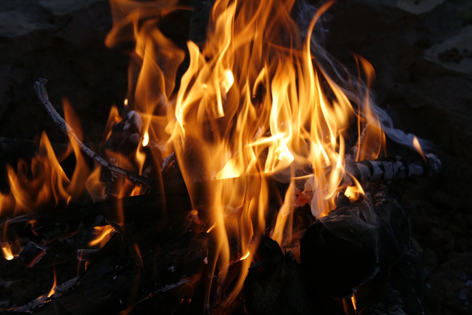 Canon EOS 400D (EOS Digital Rebel XTi / EOS Kiss Digital X) sample photo. Bonfire, flames, wood photography