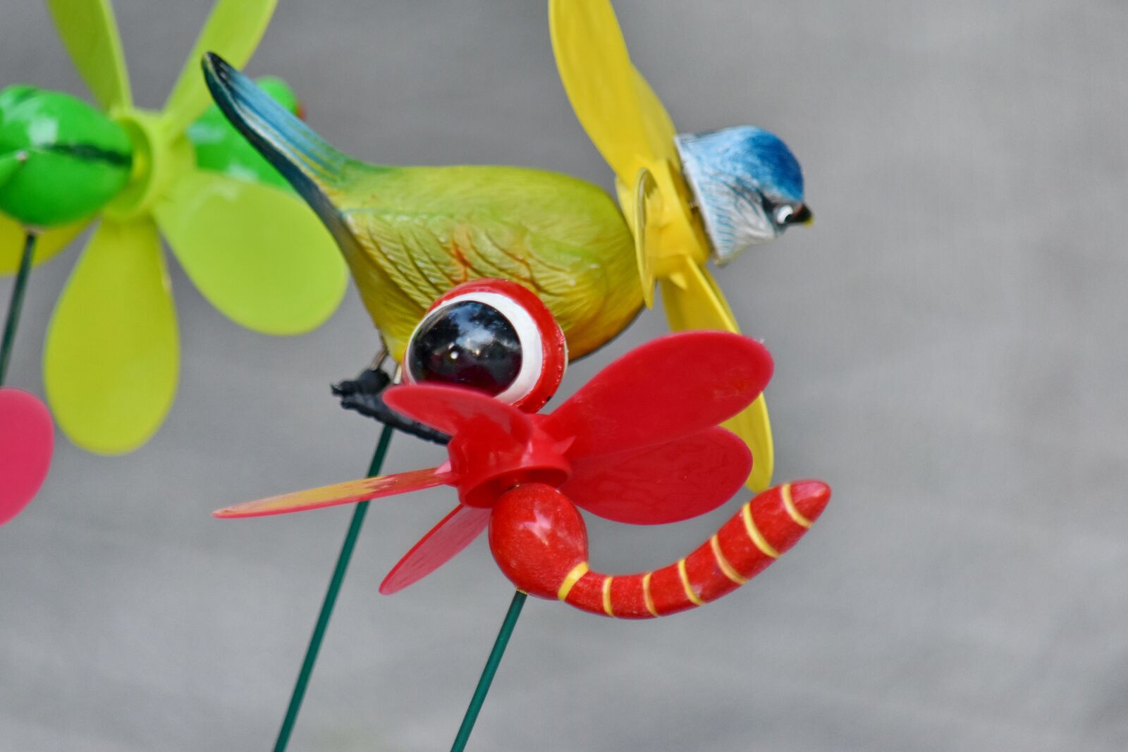 Nikon D5500 sample photo. Bird, dragonfly, plastic, toys photography