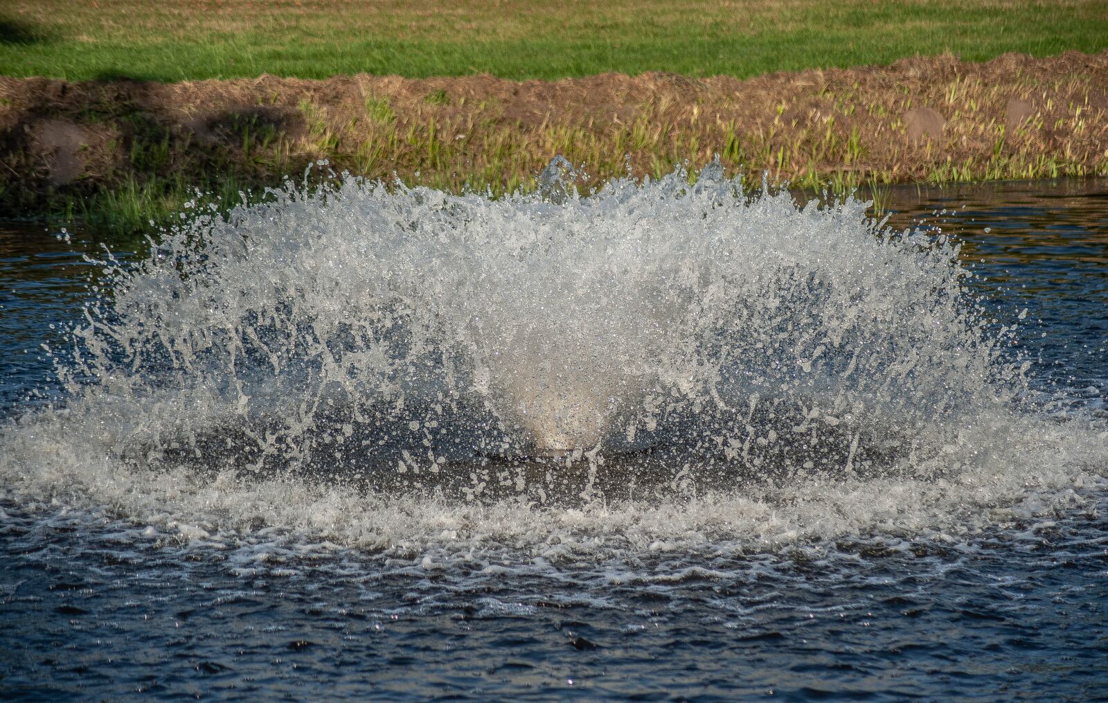 Nikon D700 sample photo. Fountain, water, drop of photography