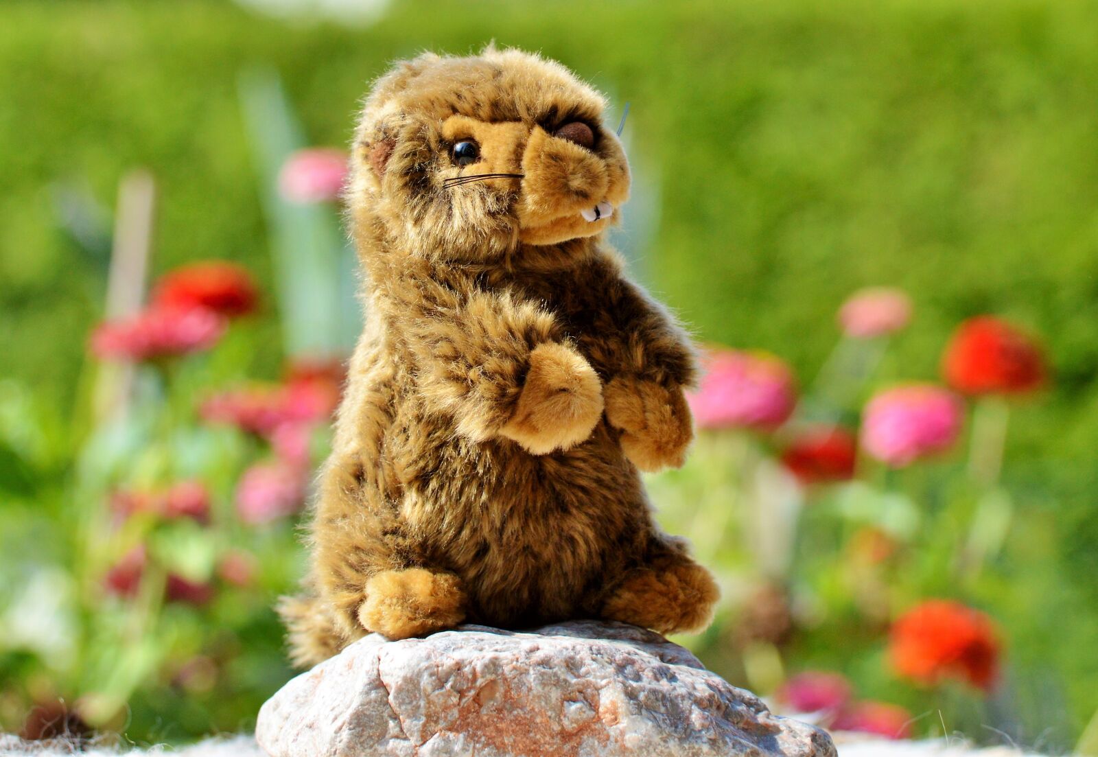 Nikon D3200 sample photo. Beaver, stuffed animal, toys photography