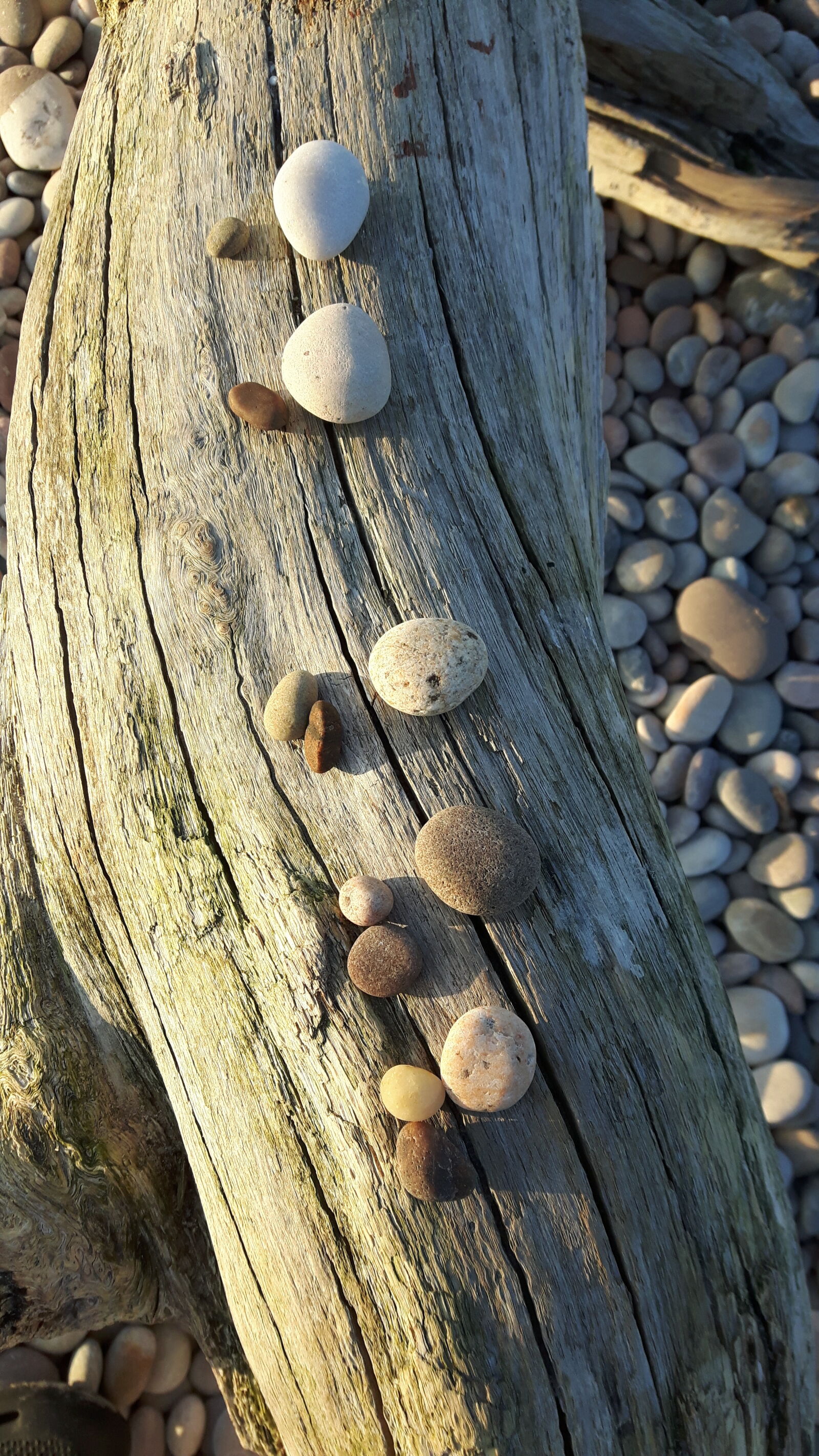 Samsung Galaxy S5 Neo sample photo. Drift, wood, and, stones photography