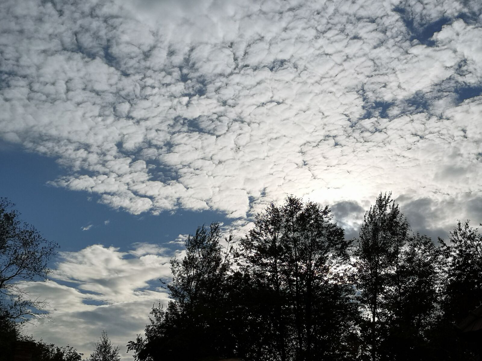 HUAWEI CLT-L09 sample photo. Clouds, nature photography
