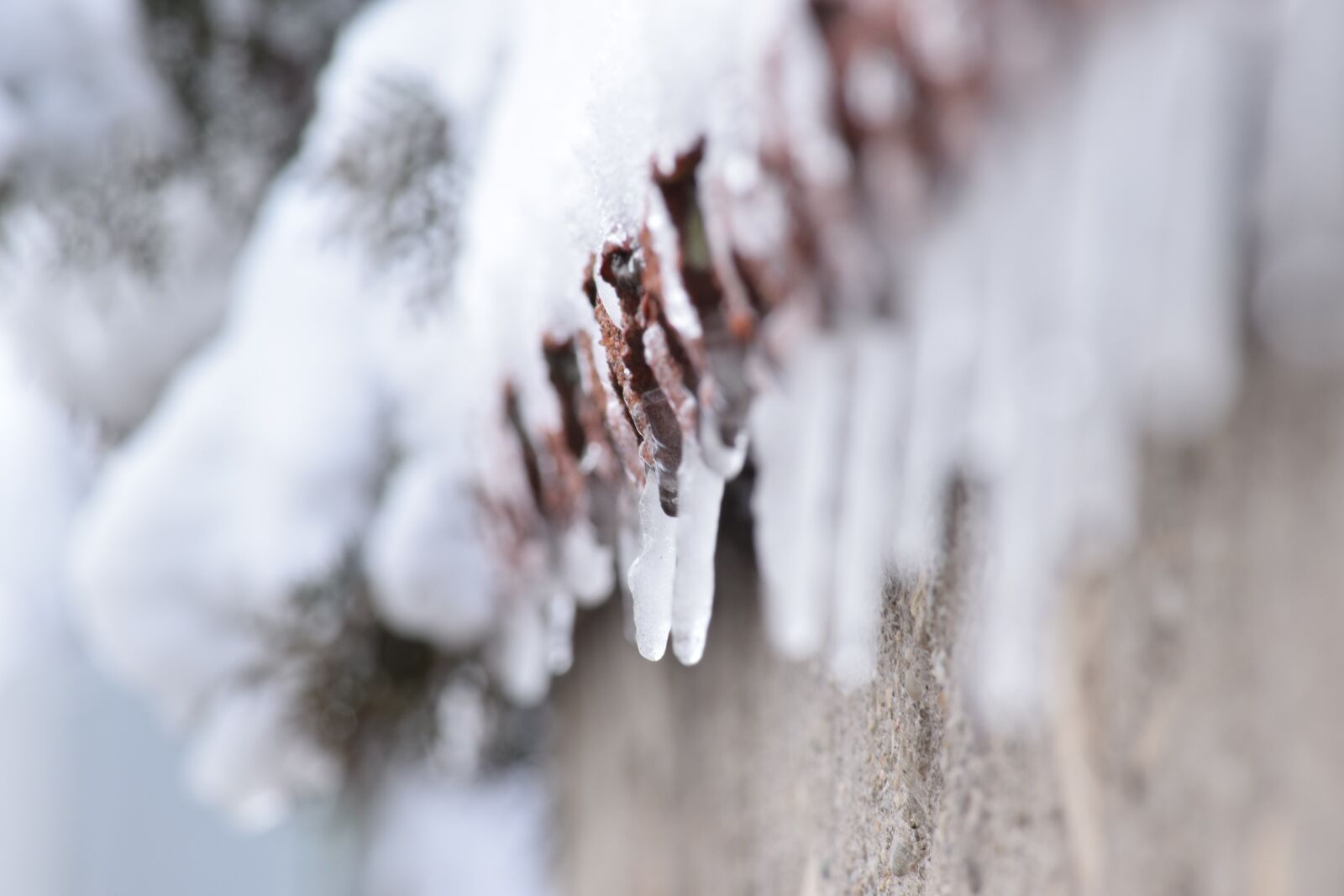 Nikon D5300 sample photo. Winter, frozen, icicles photography