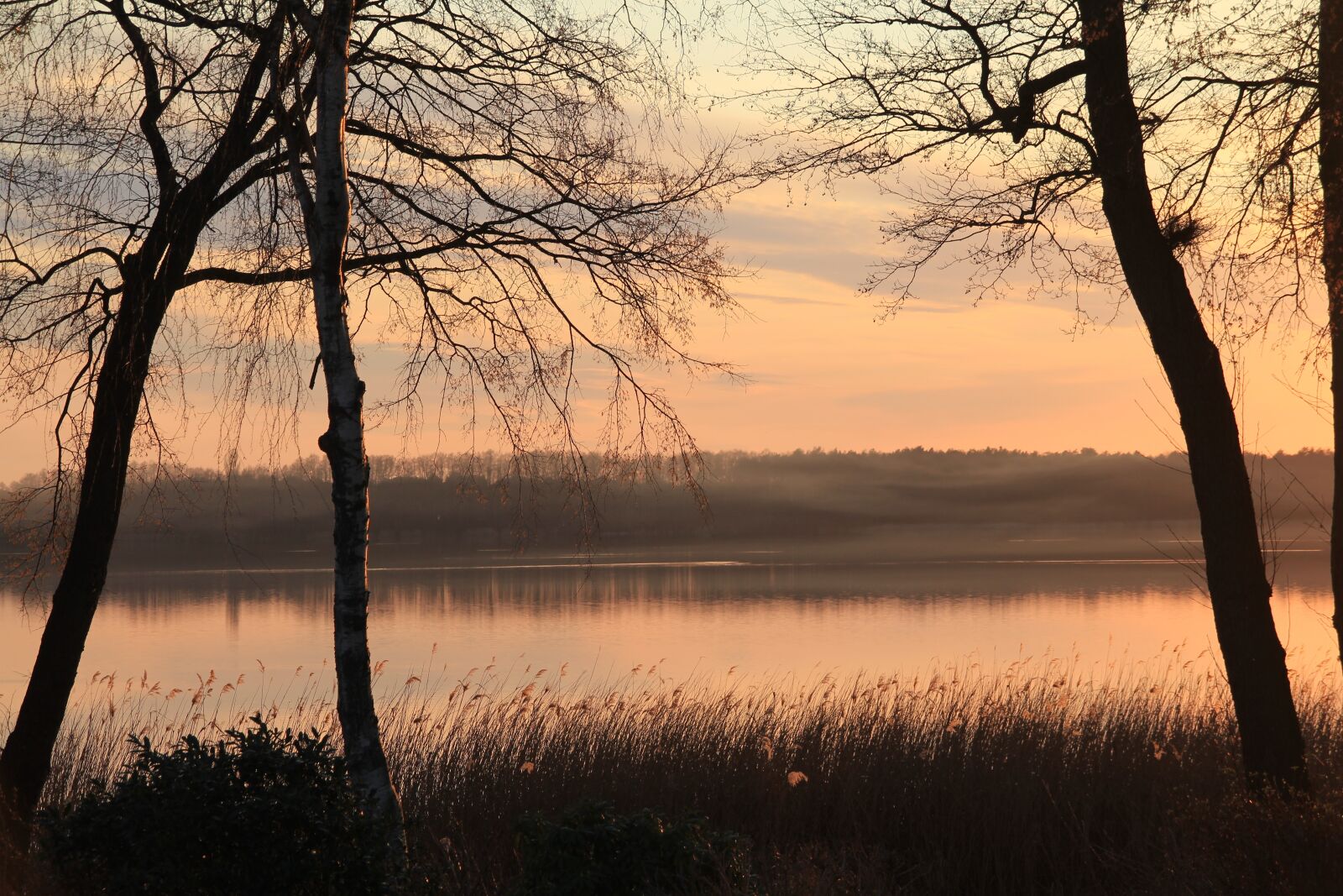Canon EOS 550D (EOS Rebel T2i / EOS Kiss X4) sample photo. Lake, water, sunset photography
