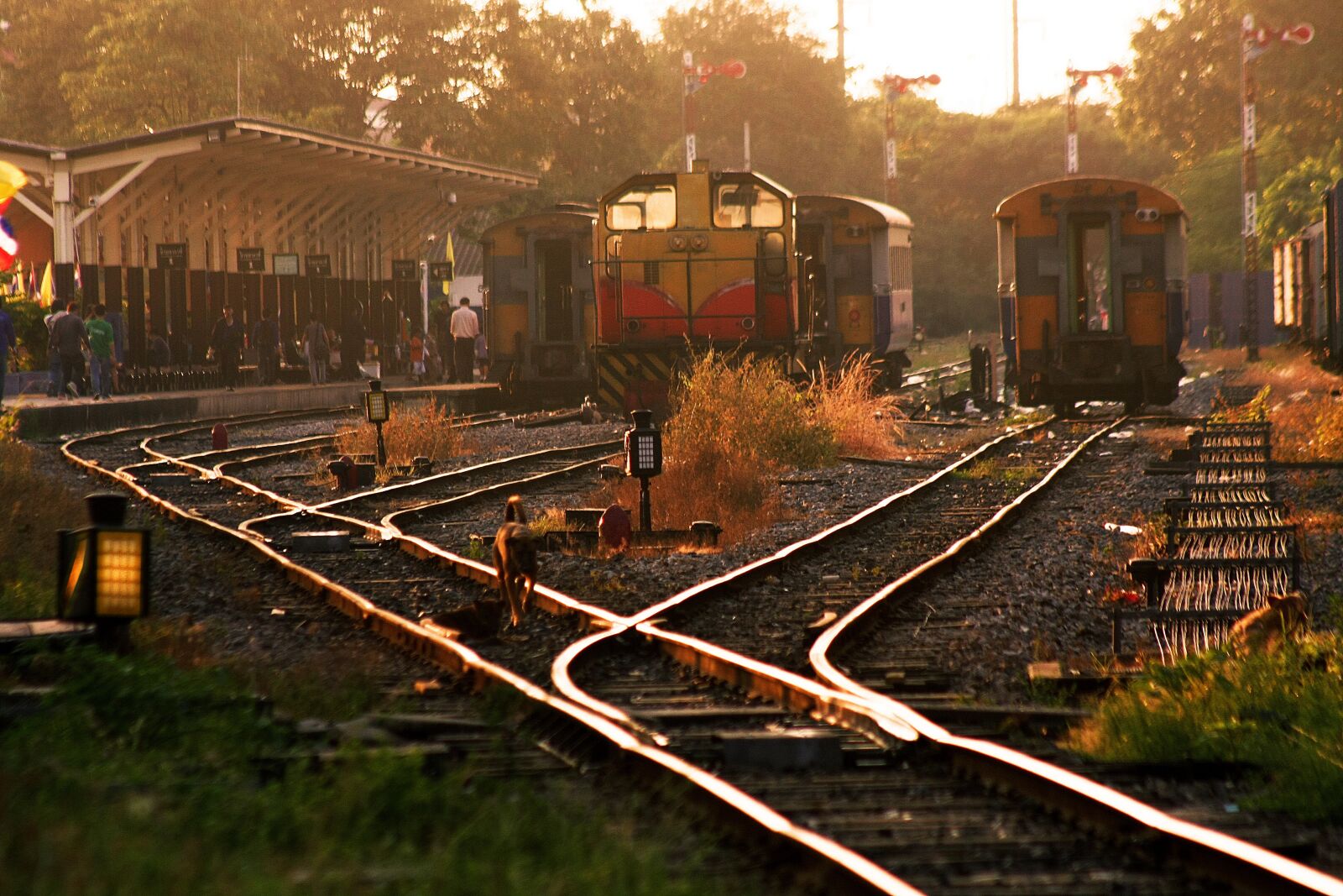 Canon EOS 40D sample photo. Train, station, travel photography
