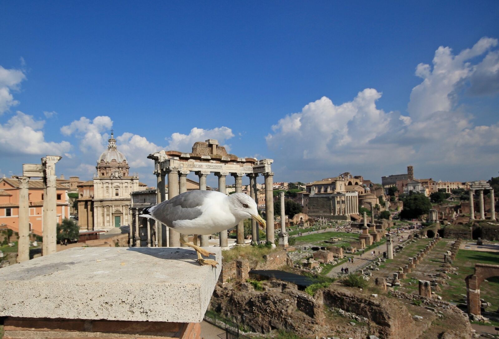 Canon EOS 600D (Rebel EOS T3i / EOS Kiss X5) sample photo. Italy, rome, the roman photography