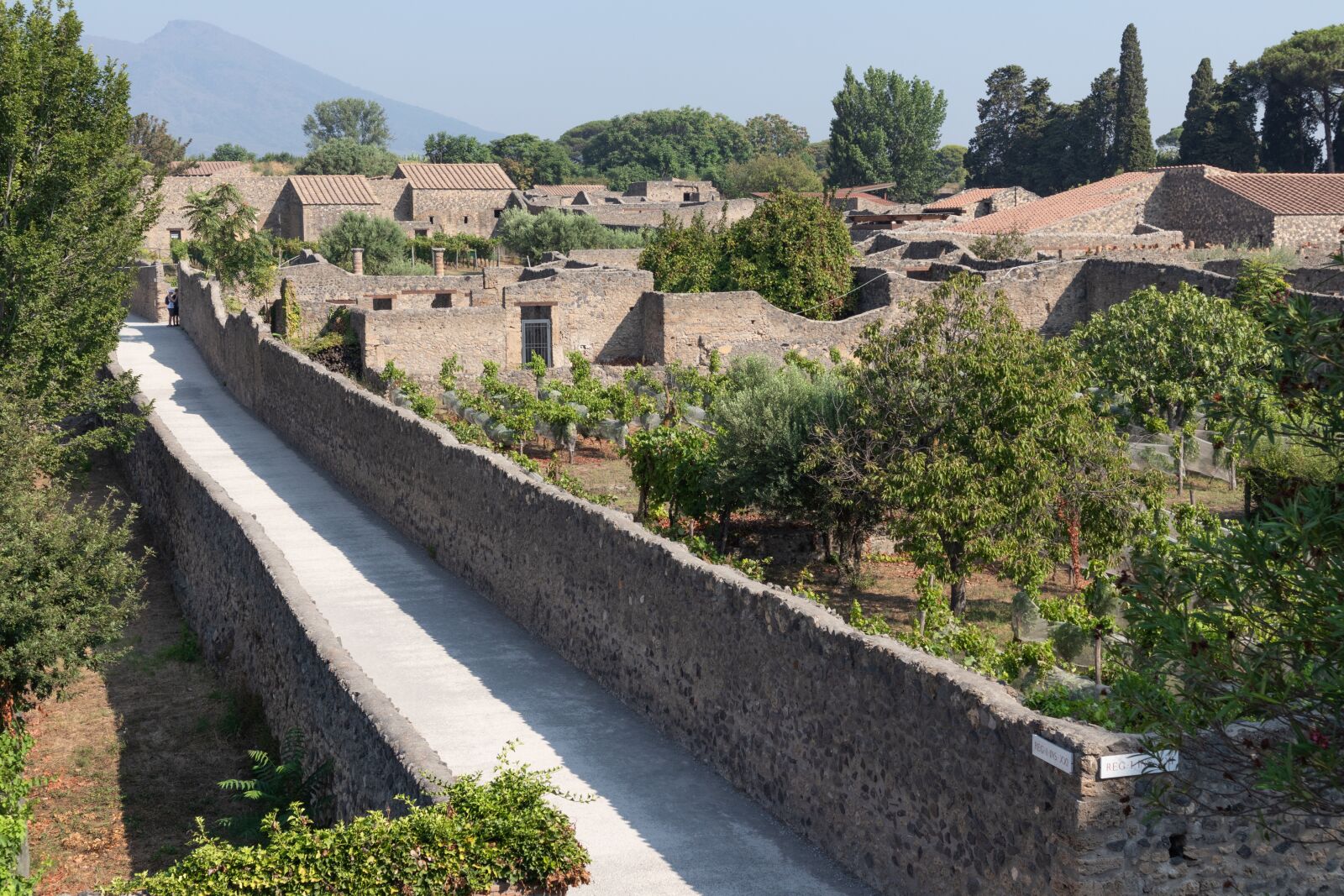 Canon EOS M100 sample photo. Pompeii, road, naples photography