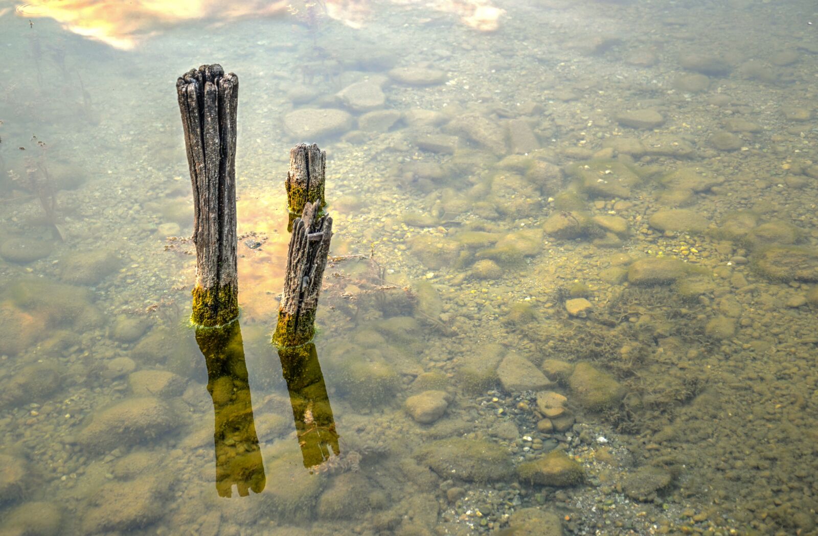 Nikon D610 sample photo. Stick, wood, water photography