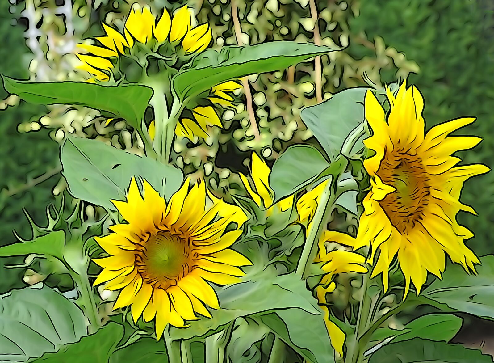 Sony Cyber-shot DSC-HX400V sample photo. Sunflower, helianthos, yellow photography