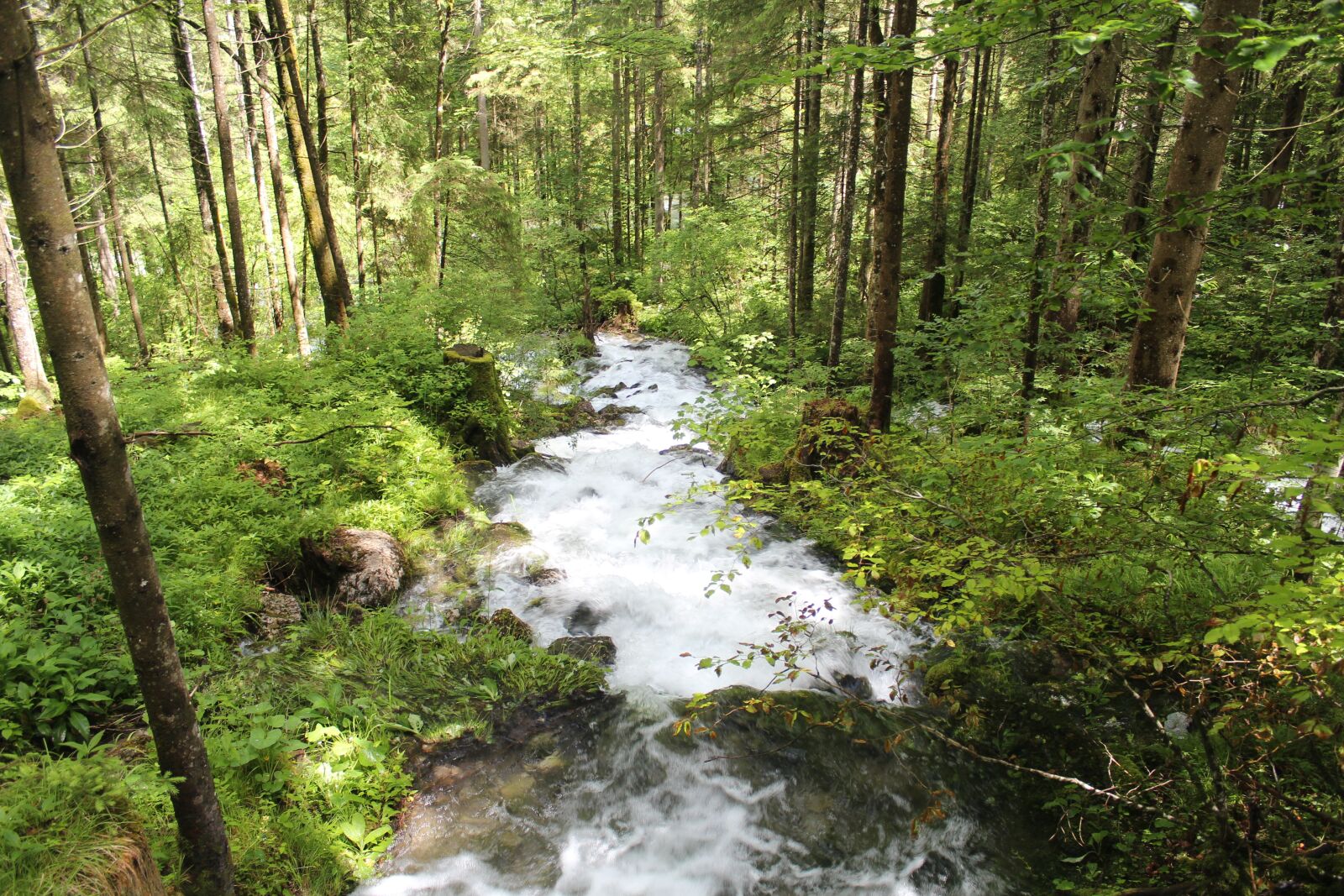 Canon EOS 600D (Rebel EOS T3i / EOS Kiss X5) sample photo. Waterfall, forest, water photography