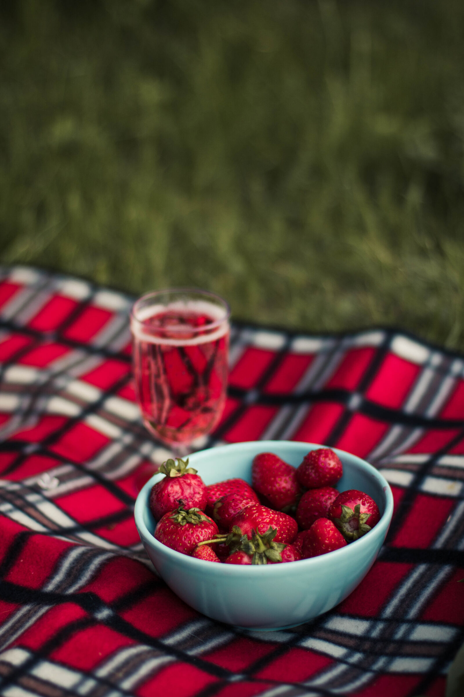 Canon EOS 760D (EOS Rebel T6s / EOS 8000D) sample photo. Picnic, champagne, strawberries, plaid photography