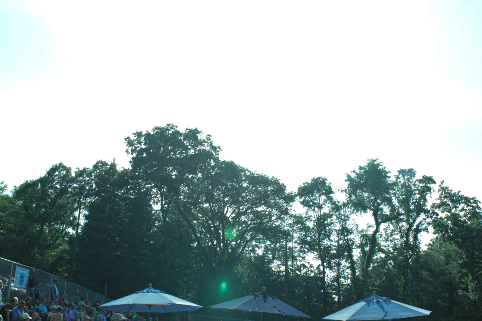 Canon EOS 550D (EOS Rebel T2i / EOS Kiss X4) sample photo. Nicolas, desarno photography
