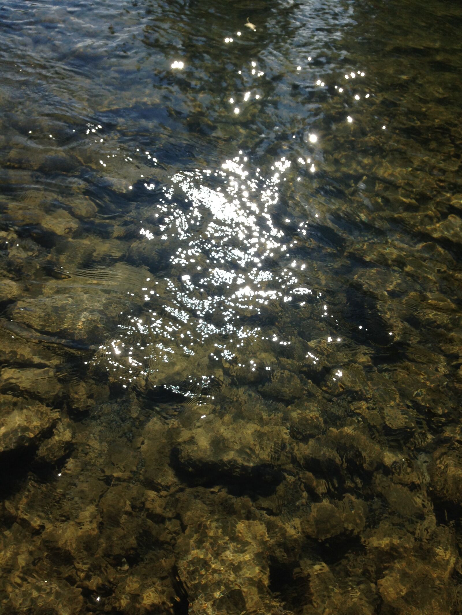 iPhone 5c back camera 4.12mm f/2.4 sample photo. Creek, ripples, sparkling, sun photography