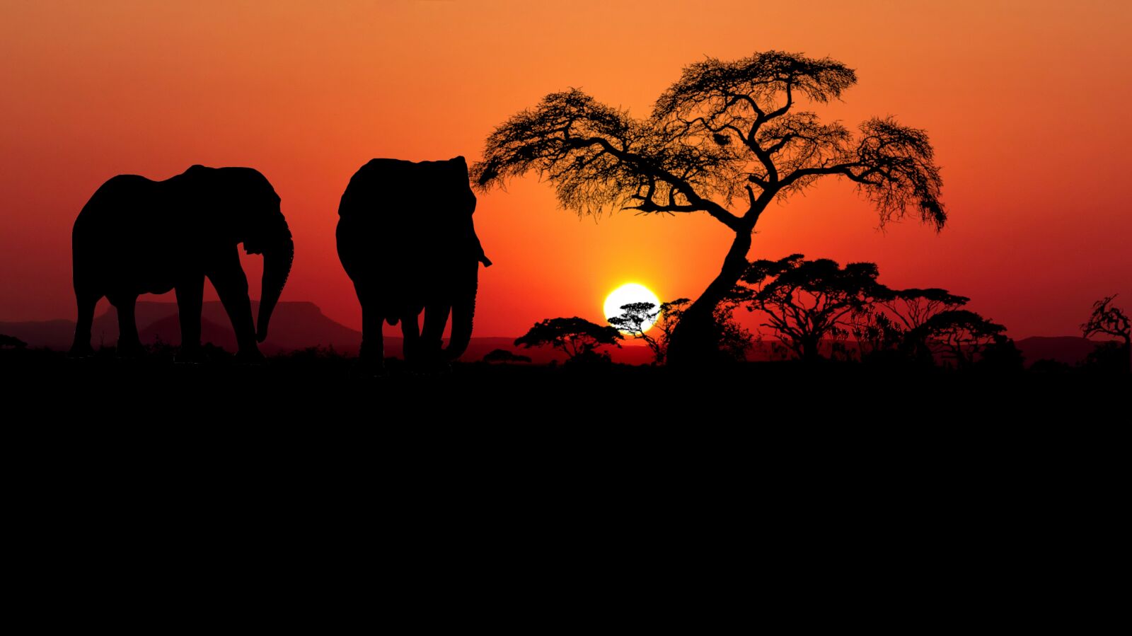 Panasonic Lumix DMC-FZ200 sample photo. Sunset, savannah, africa photography