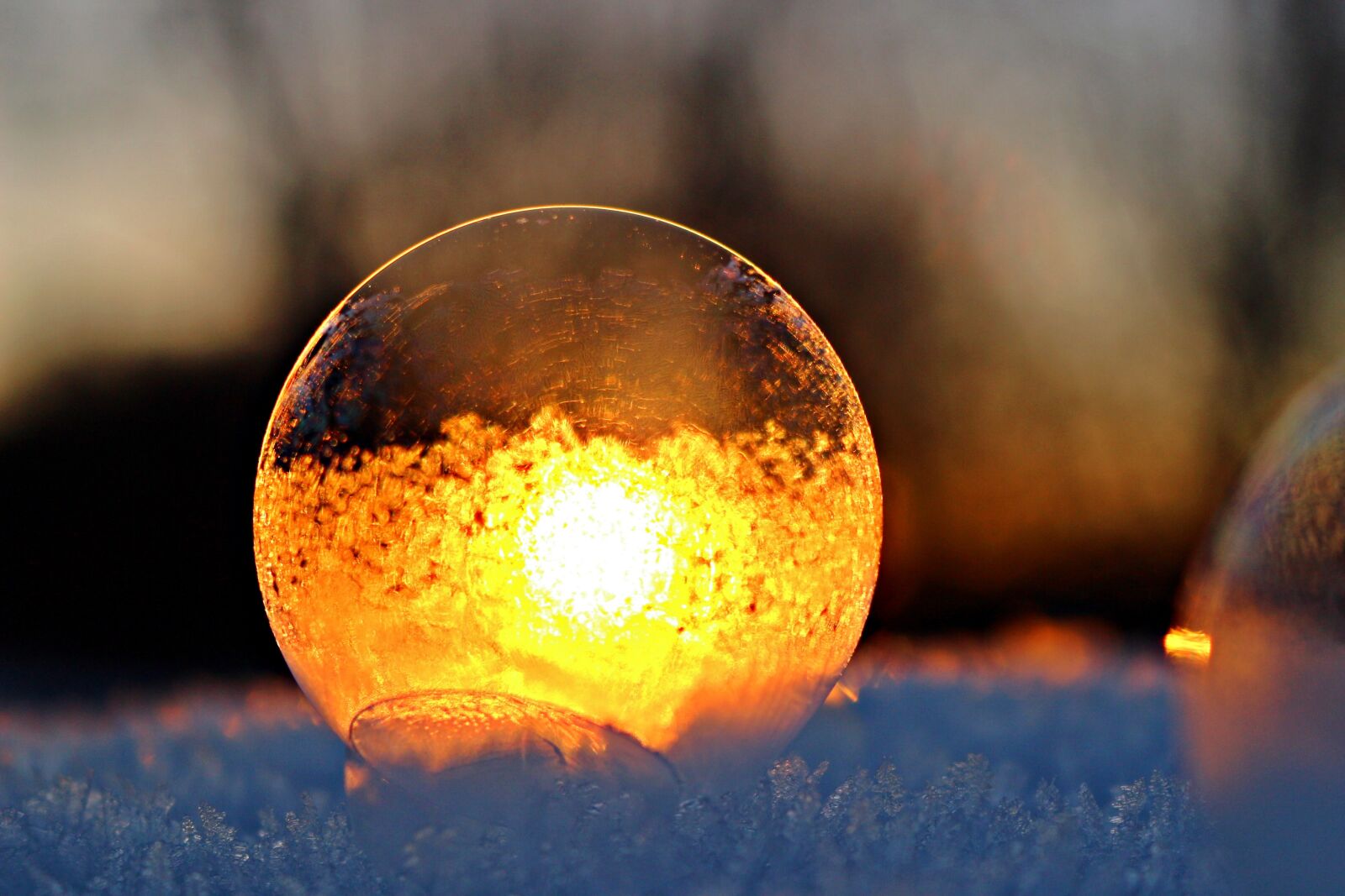 Canon EOS 100D (EOS Rebel SL1 / EOS Kiss X7) sample photo. Soap bubble, sunset, afterglow photography