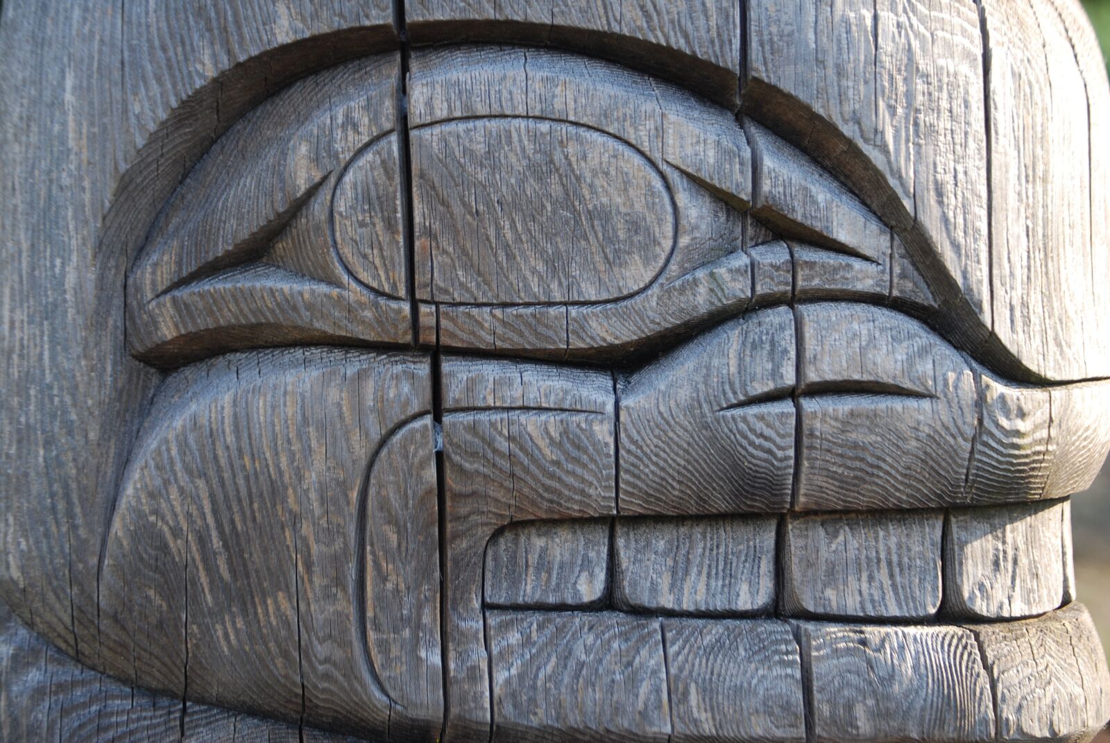 Nikon D40X sample photo. Totem, whale, tribal photography