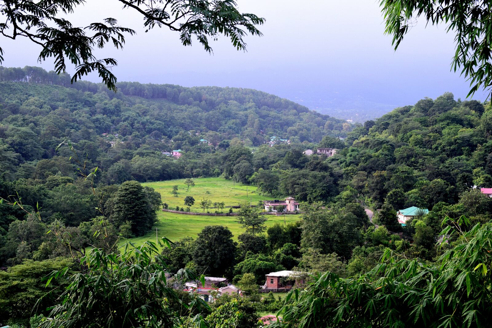 Nikon D3300 sample photo. Landscape, hill, tree photography