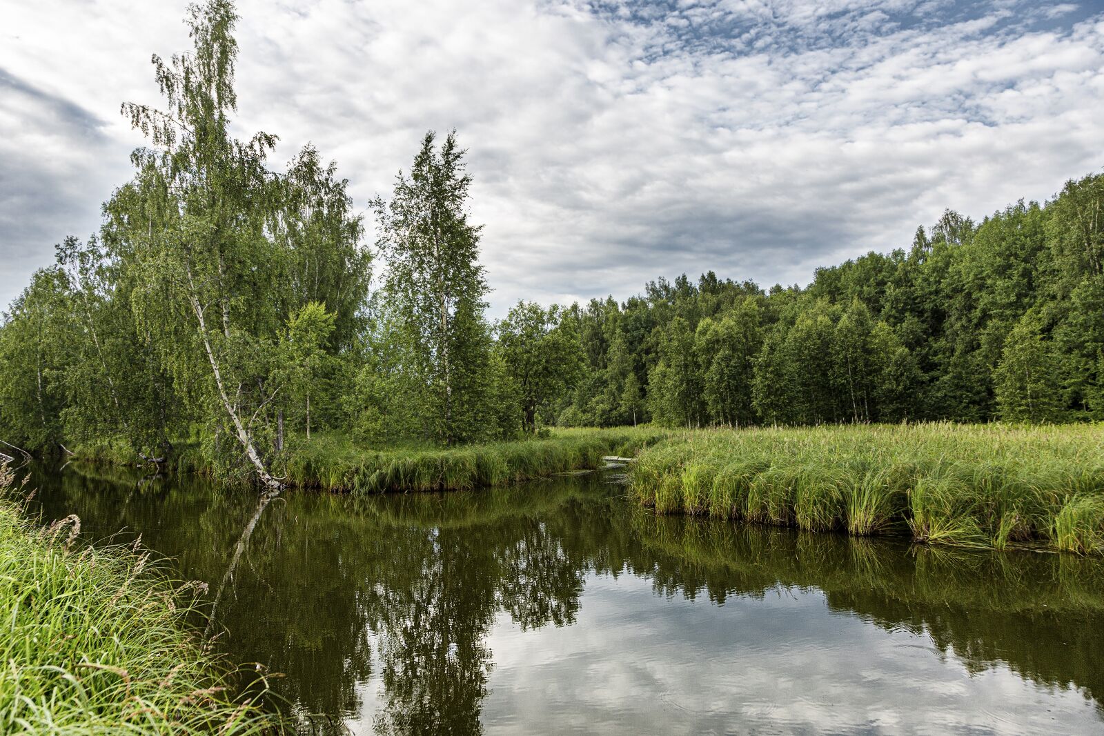 Canon EF 24-105mm F4L IS USM sample photo. Summer, river, nature photography