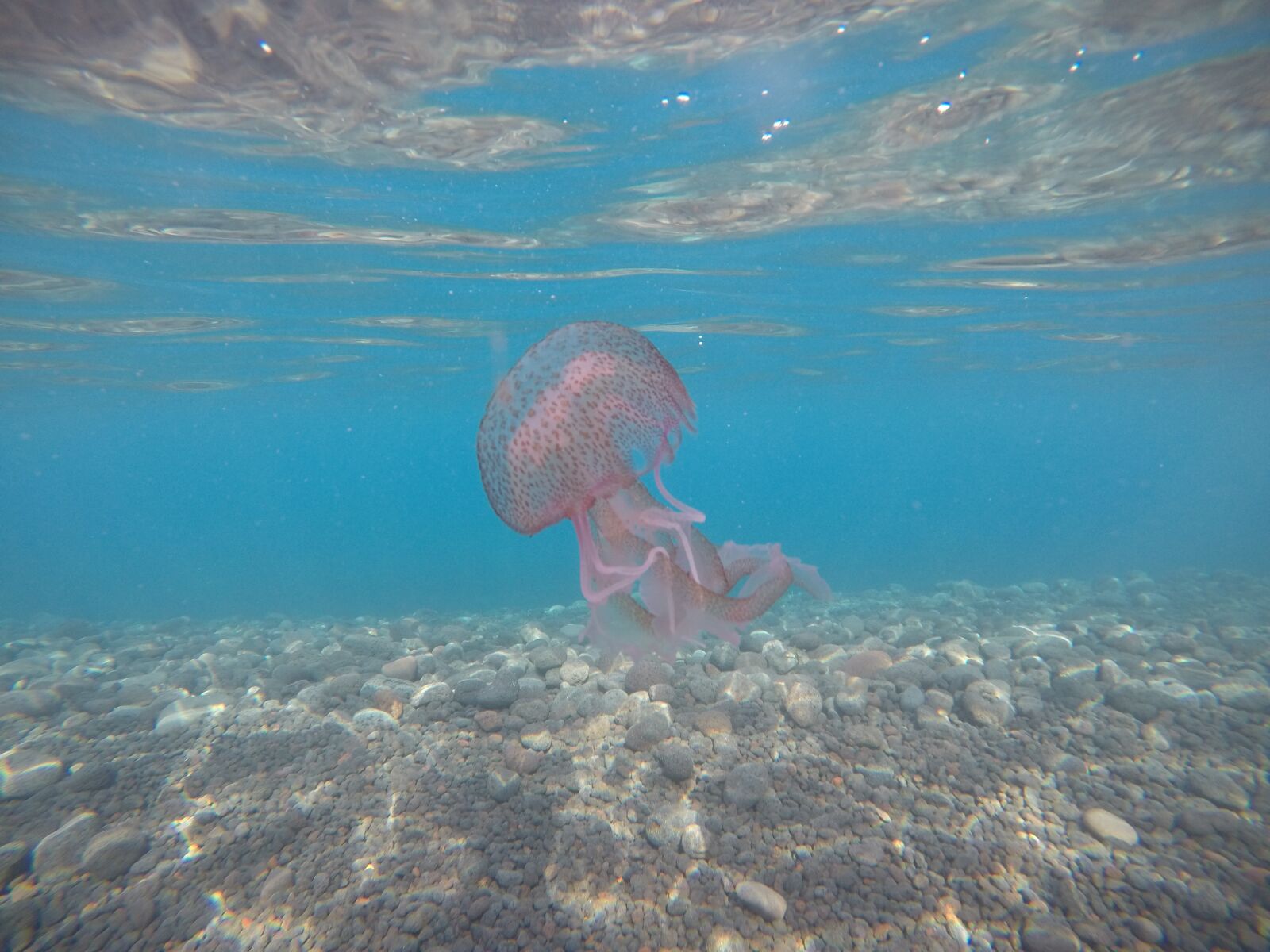 GoPro Hero5 Black sample photo. Mar, sol, ocean photography