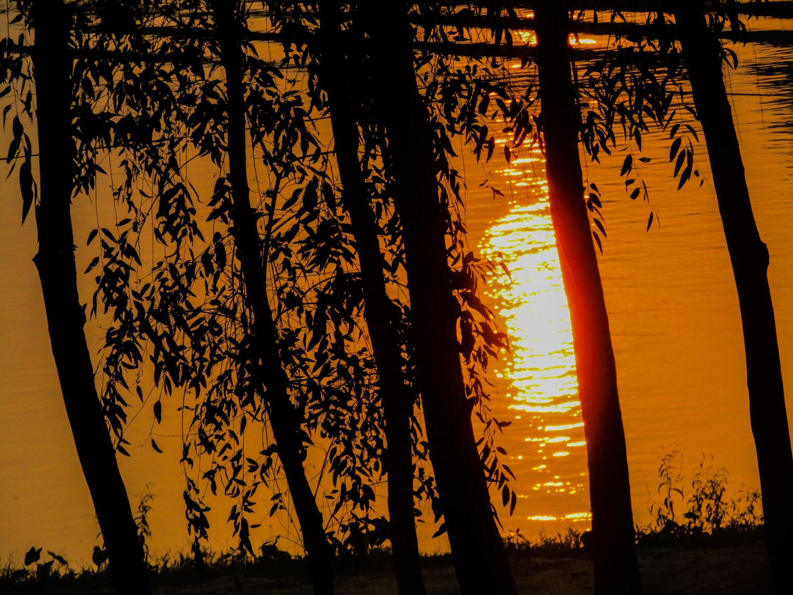 Canon POWERSHOT SX430 IS sample photo. Sun set, evening, sunlight photography