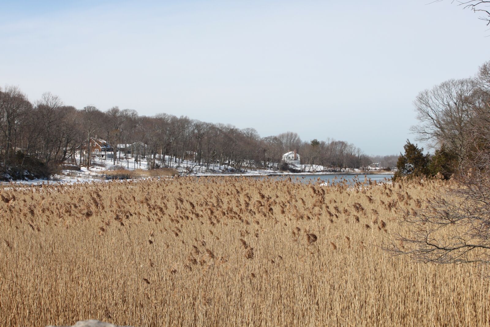 Canon EOS 500D (EOS Rebel T1i / EOS Kiss X3) sample photo. Marsh, ocean, winter photography