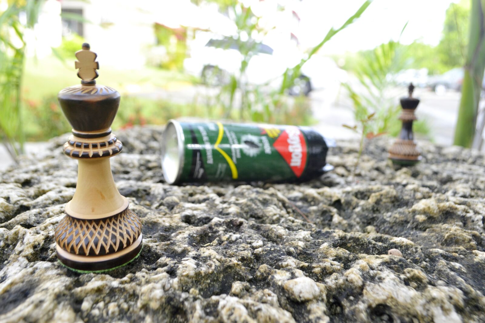 Nikon D3100 sample photo. Chess, king, strategy photography