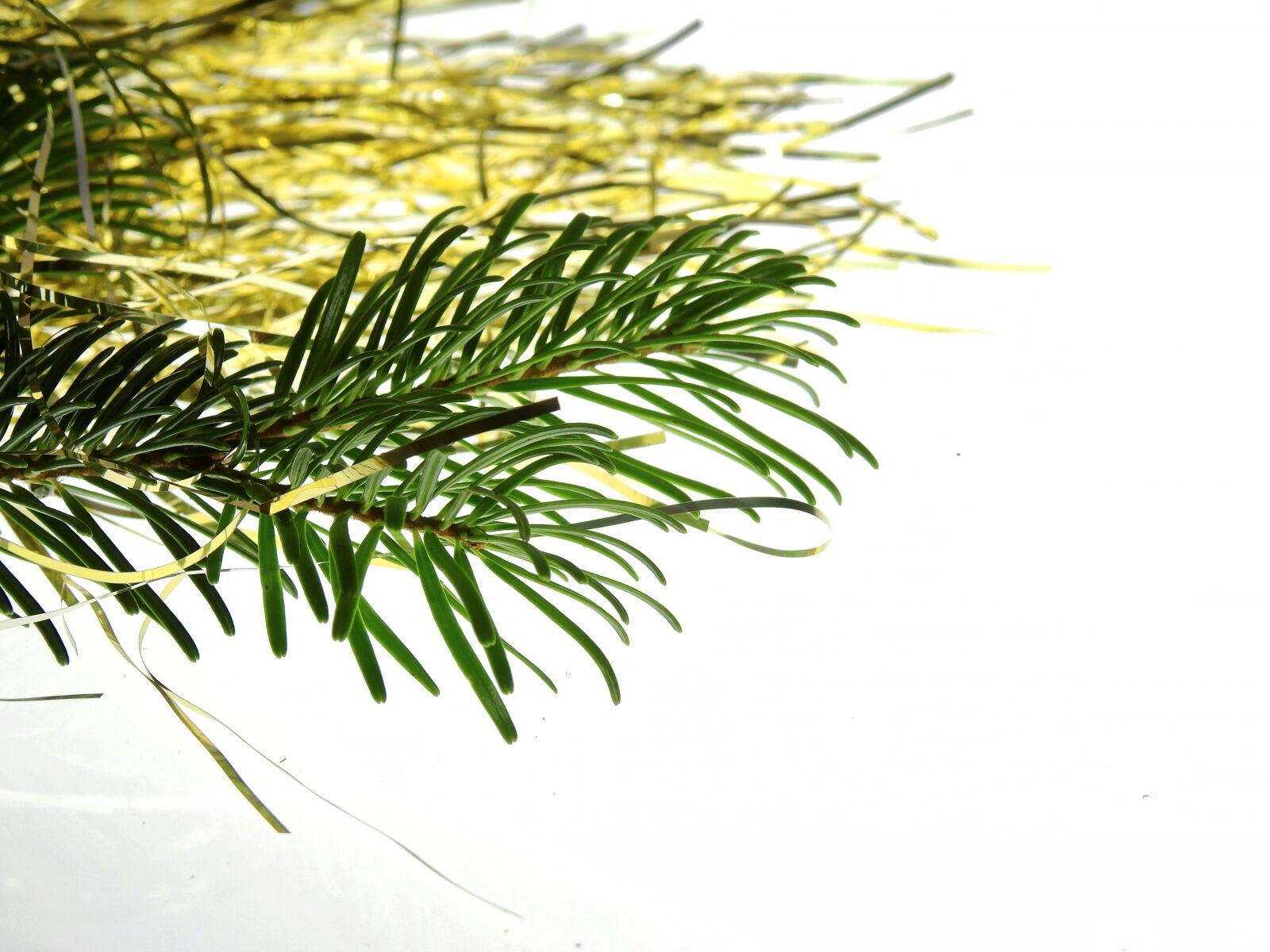 Nikon Coolpix P900 sample photo. Christmas, deco, decoration photography