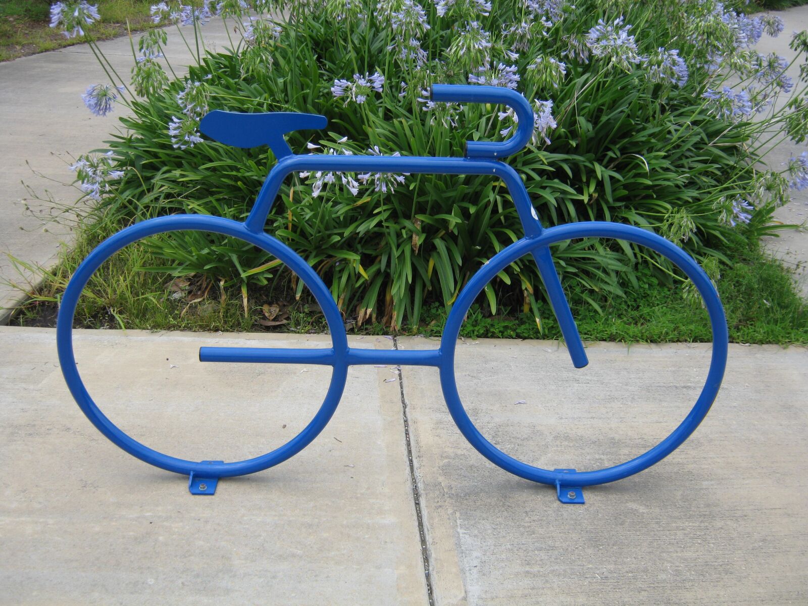 Canon PowerShot A480 sample photo. Bike, park, new orleans photography