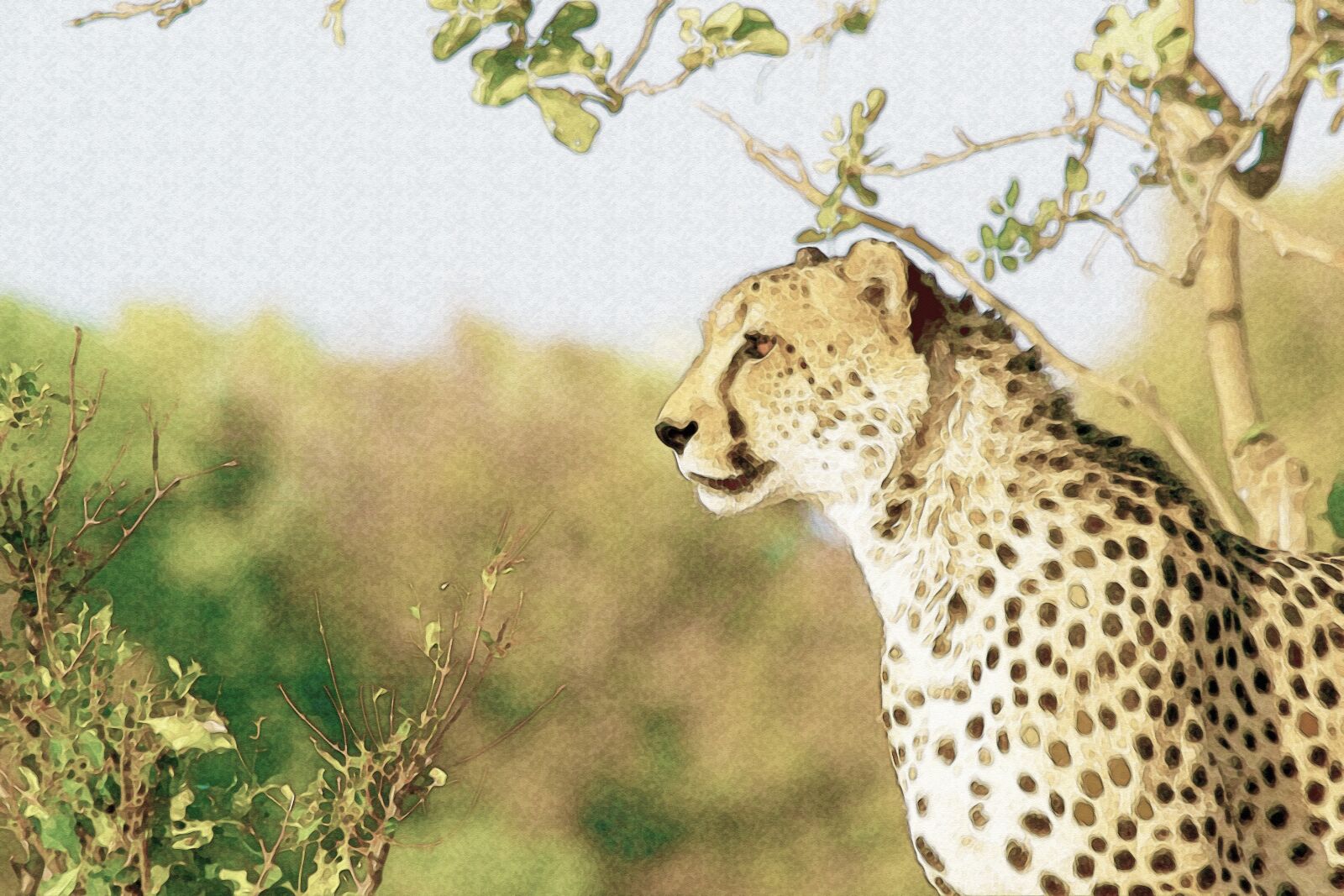 Nikon D3100 sample photo. Jaguar, savannah, freely photography