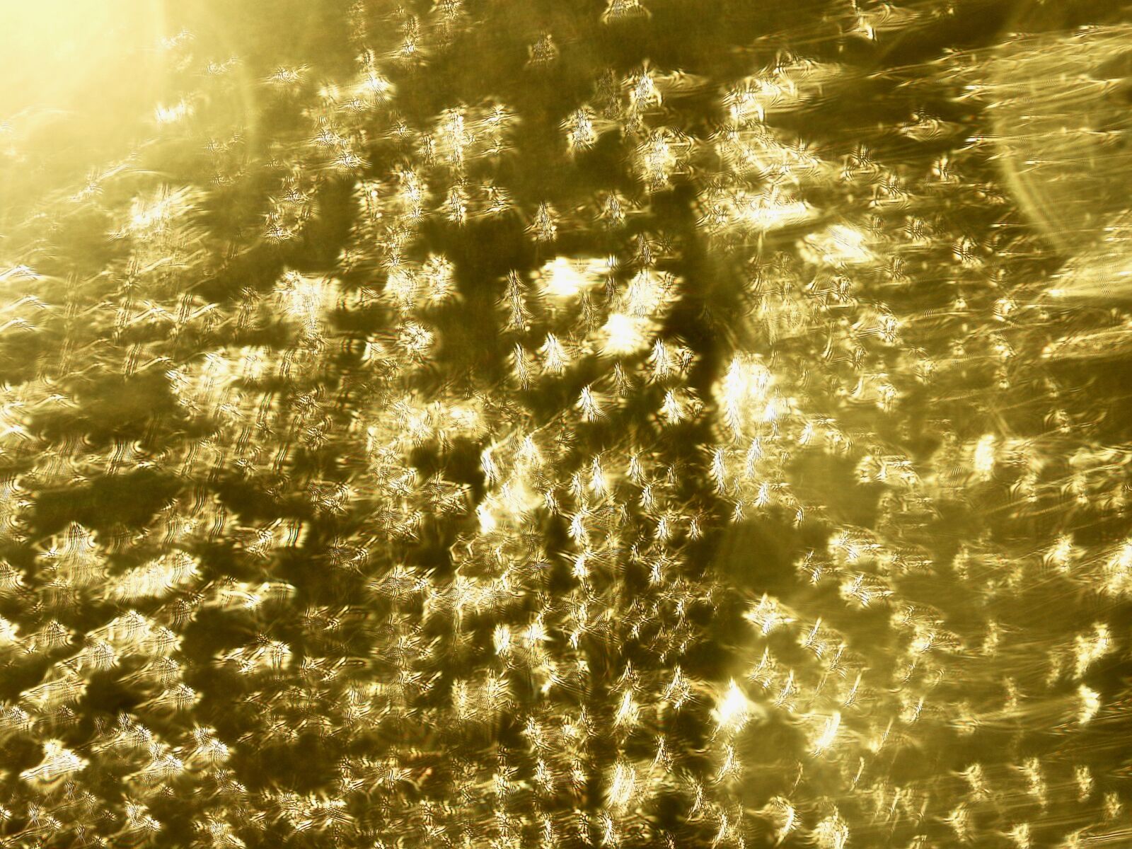 Nikon Coolpix P1000 sample photo. Gold, abstract, pattern photography