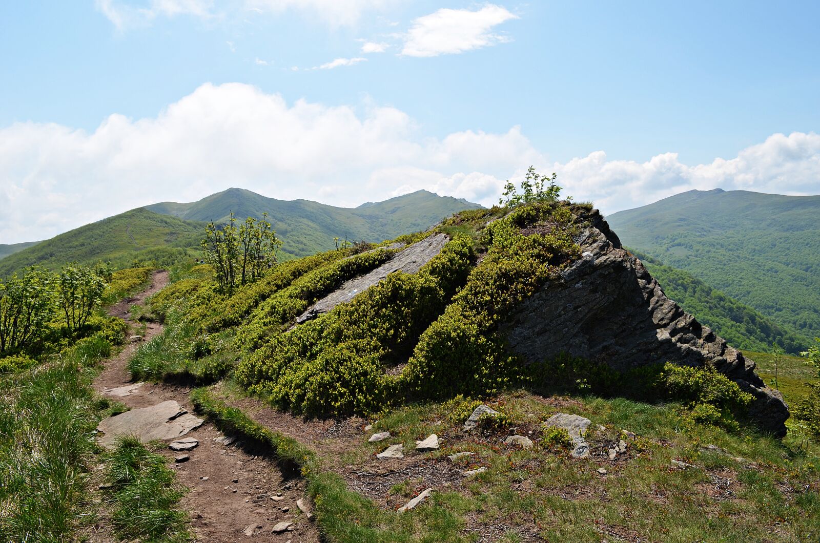 Nikon D5100 sample photo. Mountains, landscape, bieszczady photography