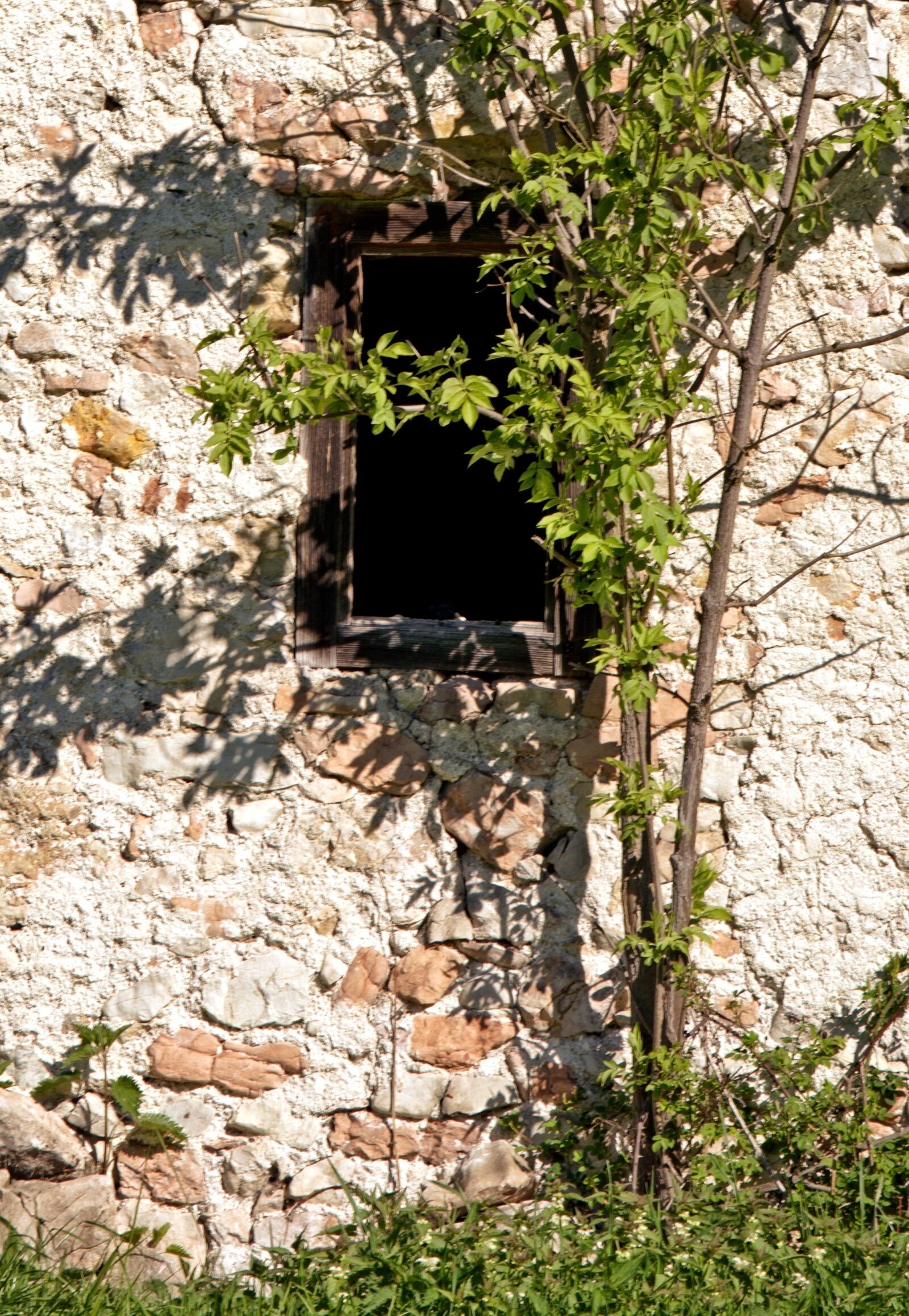 55.0-200.0mm f/4.0-f/5.6 sample photo. Window, old, historically photography