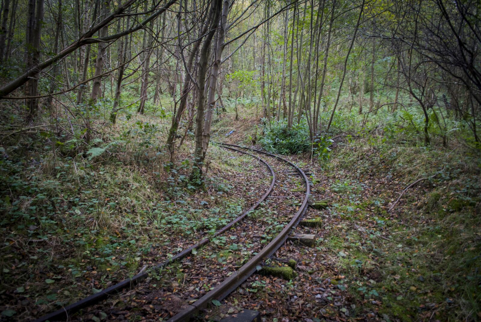 Nikon D3000 sample photo. Abandoned, railway, scotland photography