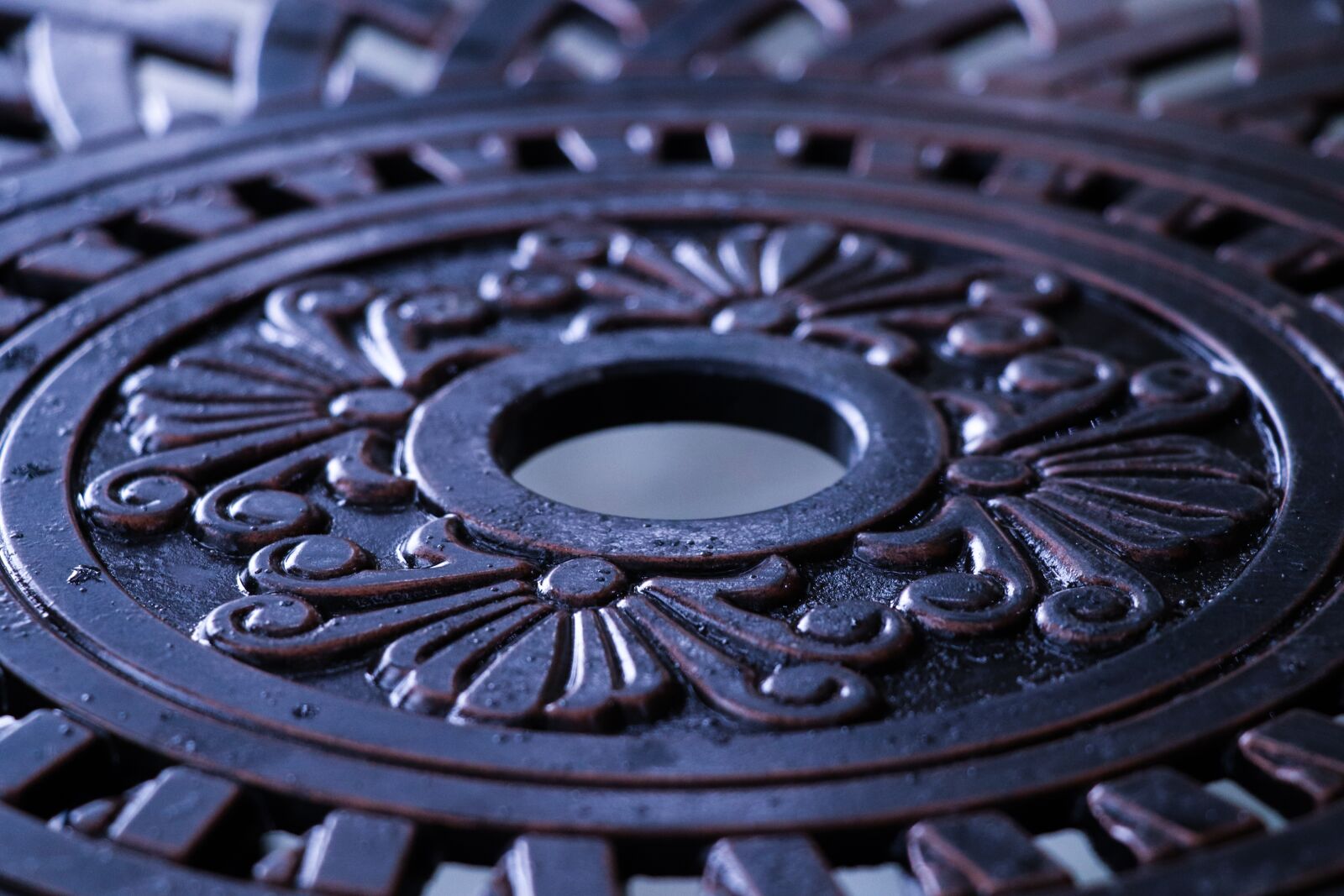 Canon EOS 77D (EOS 9000D / EOS 770D) sample photo. Metal, crafts, wrought iron photography